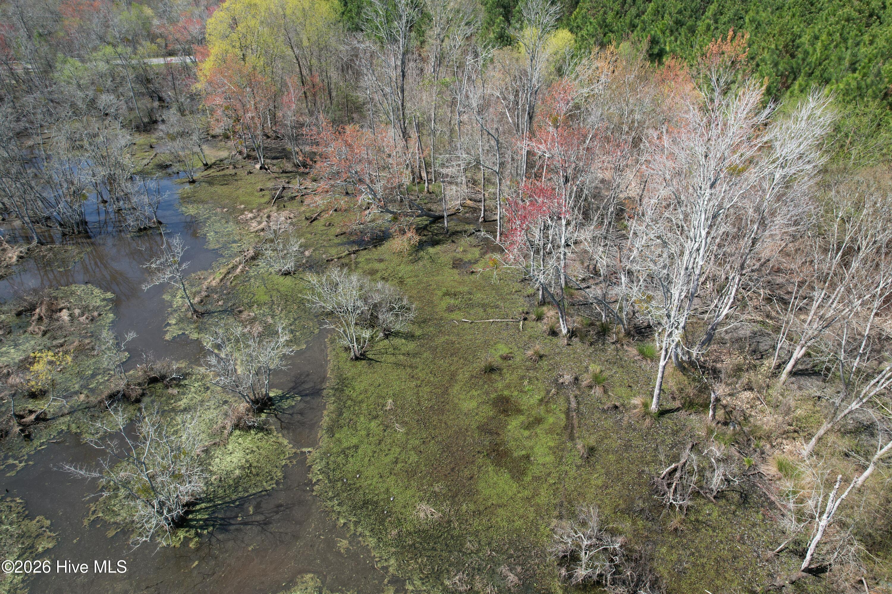 100560557 | Photo 16