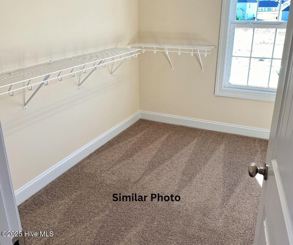 100525578 | Photo 26