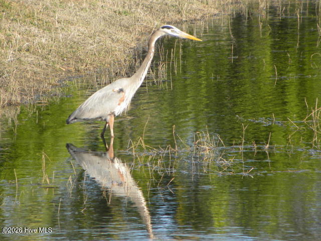 100559715 | Photo 83