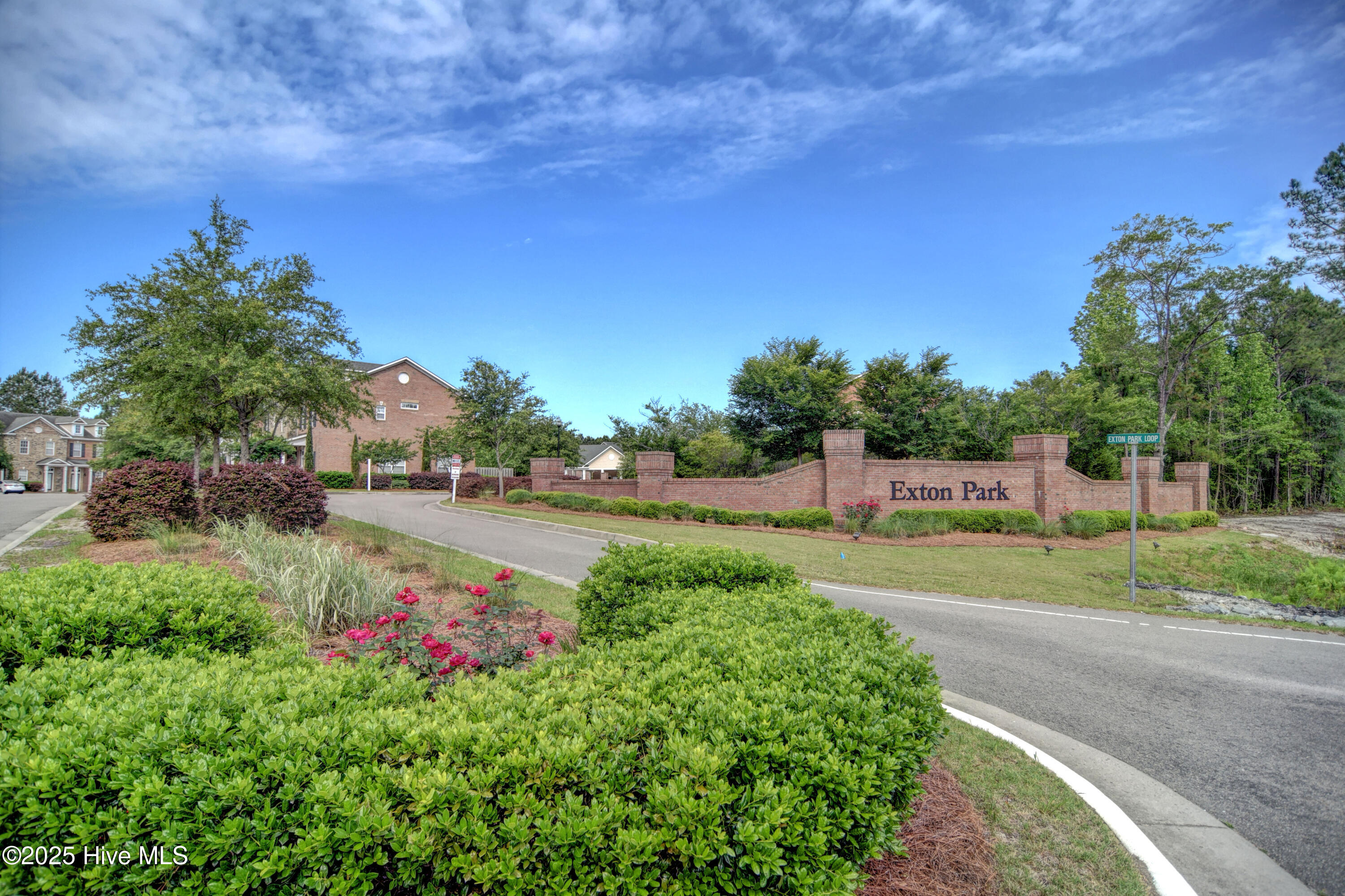 100504988 | Photo 32