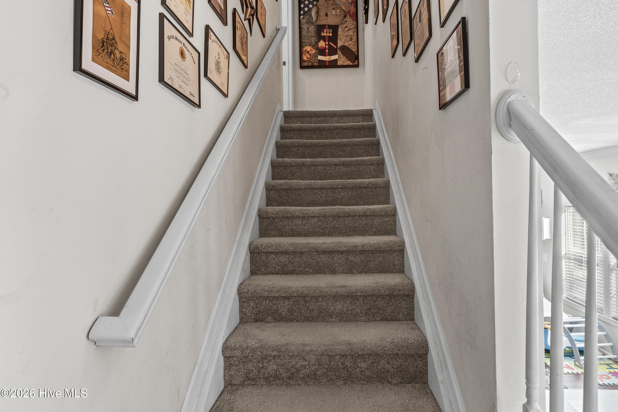 100559126 | Photo 29