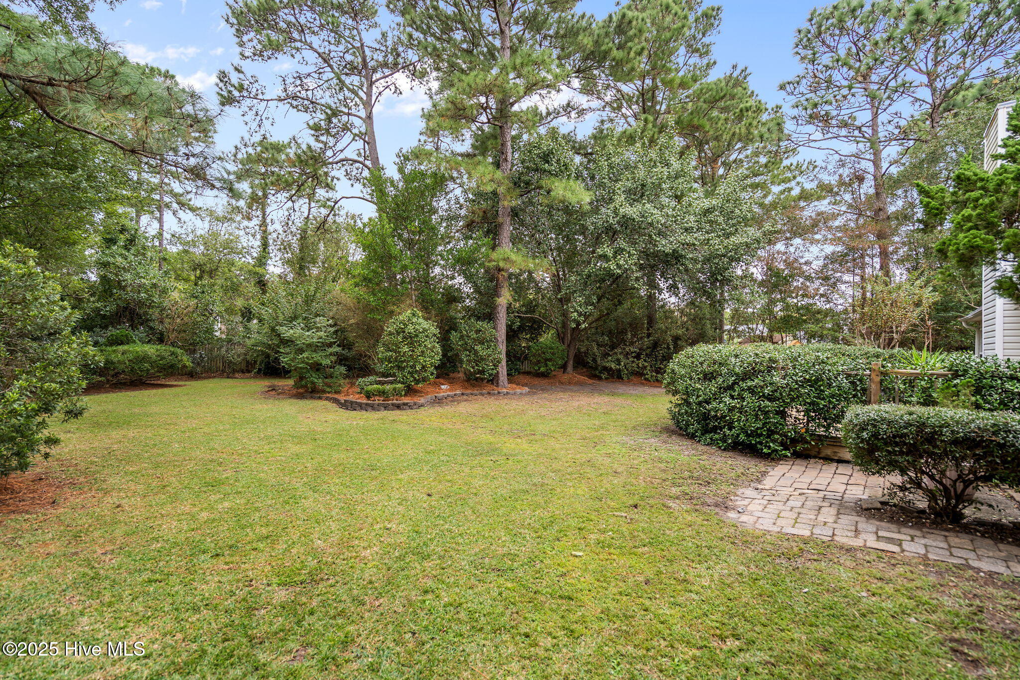 100543555 | Photo 42