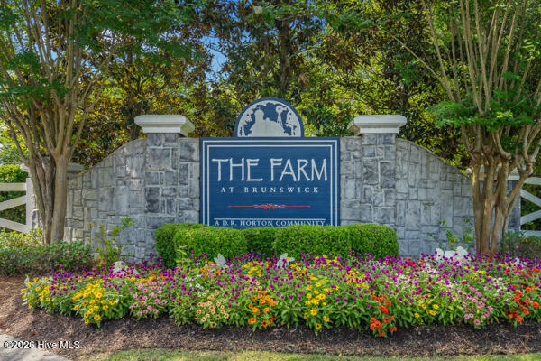 100553746 | Photo 45