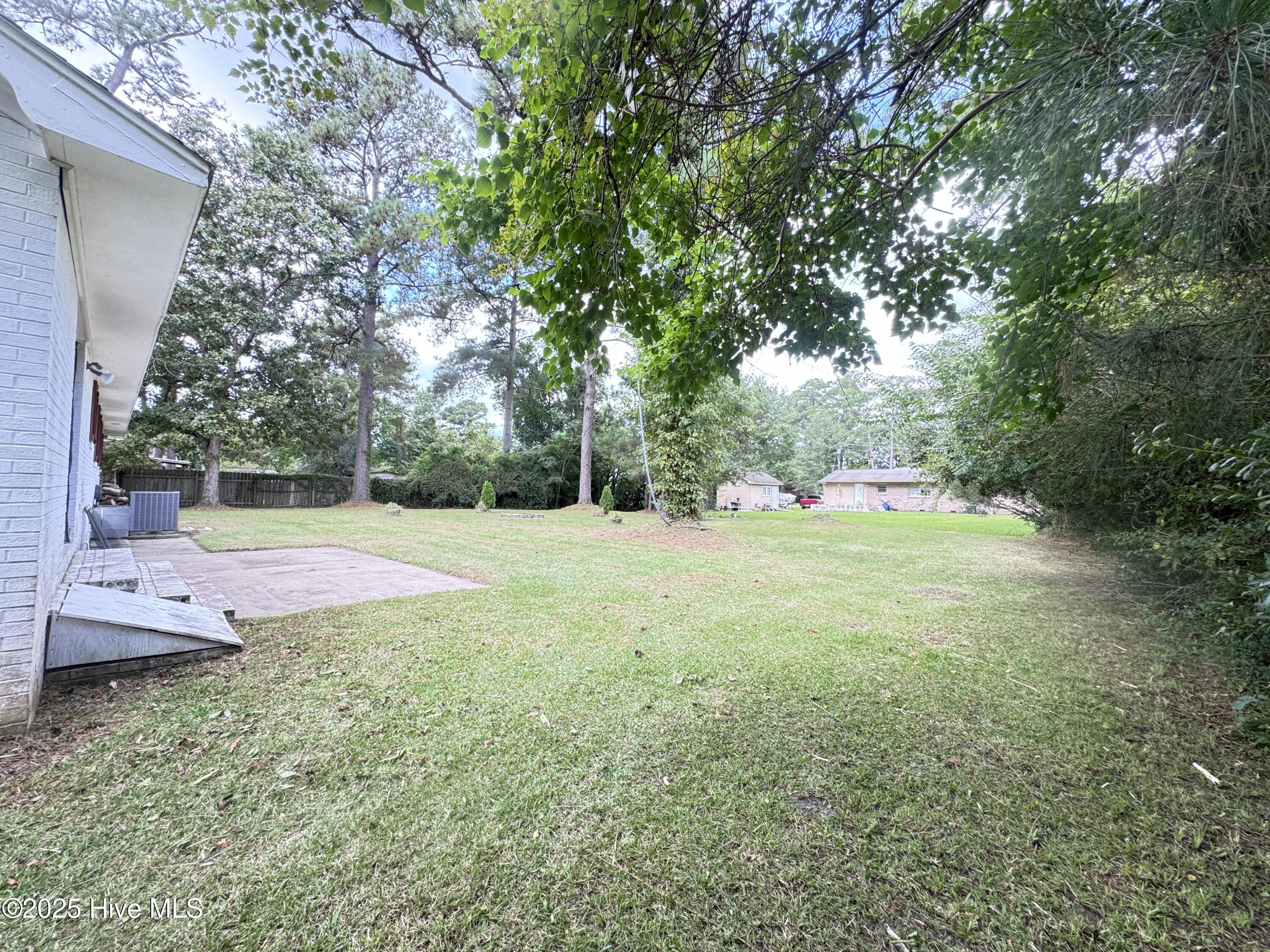 100530315 | Photo 35