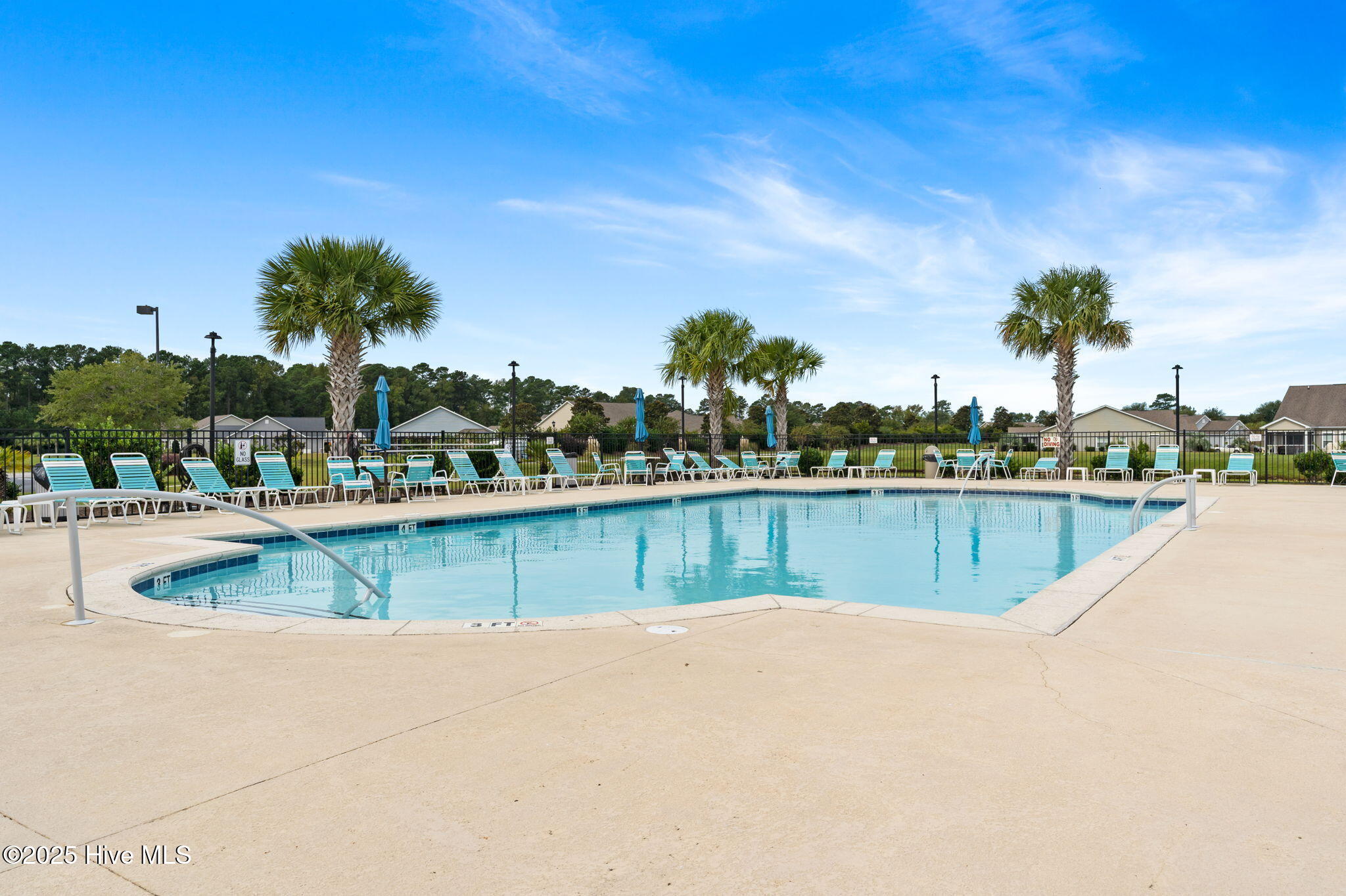 100535232 | Photo 50