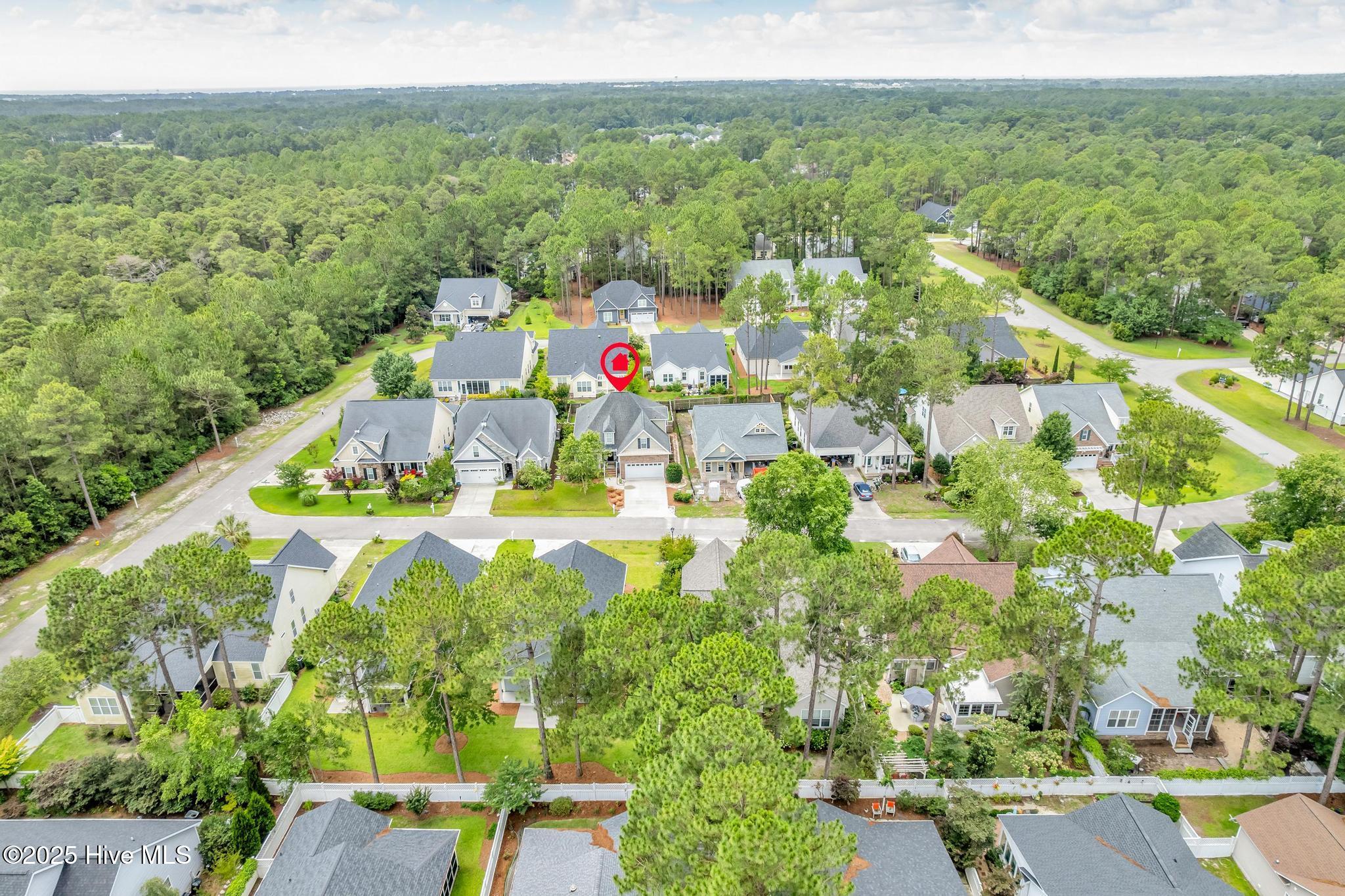 100513832 | Photo 47