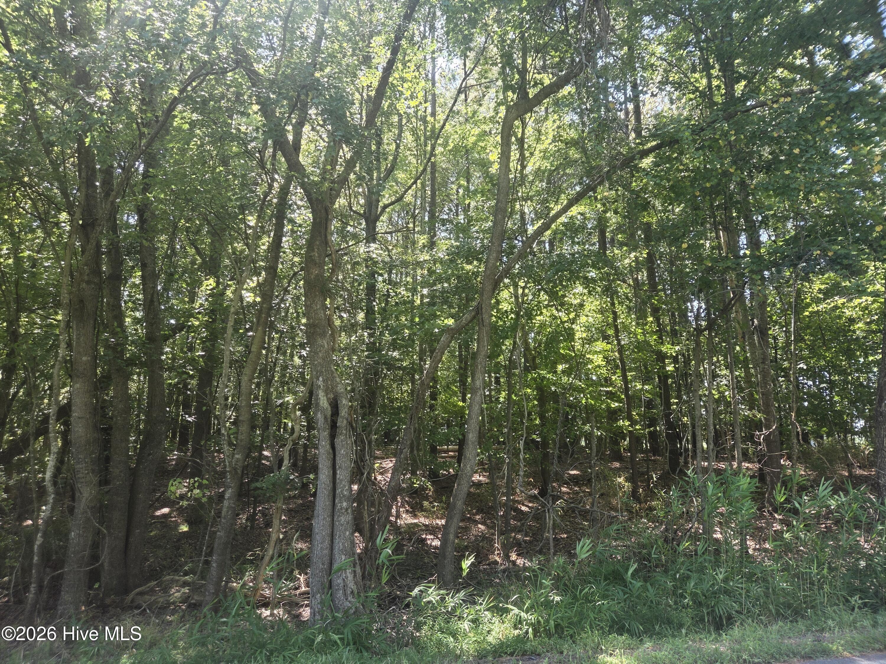 100605051 | Photo 2