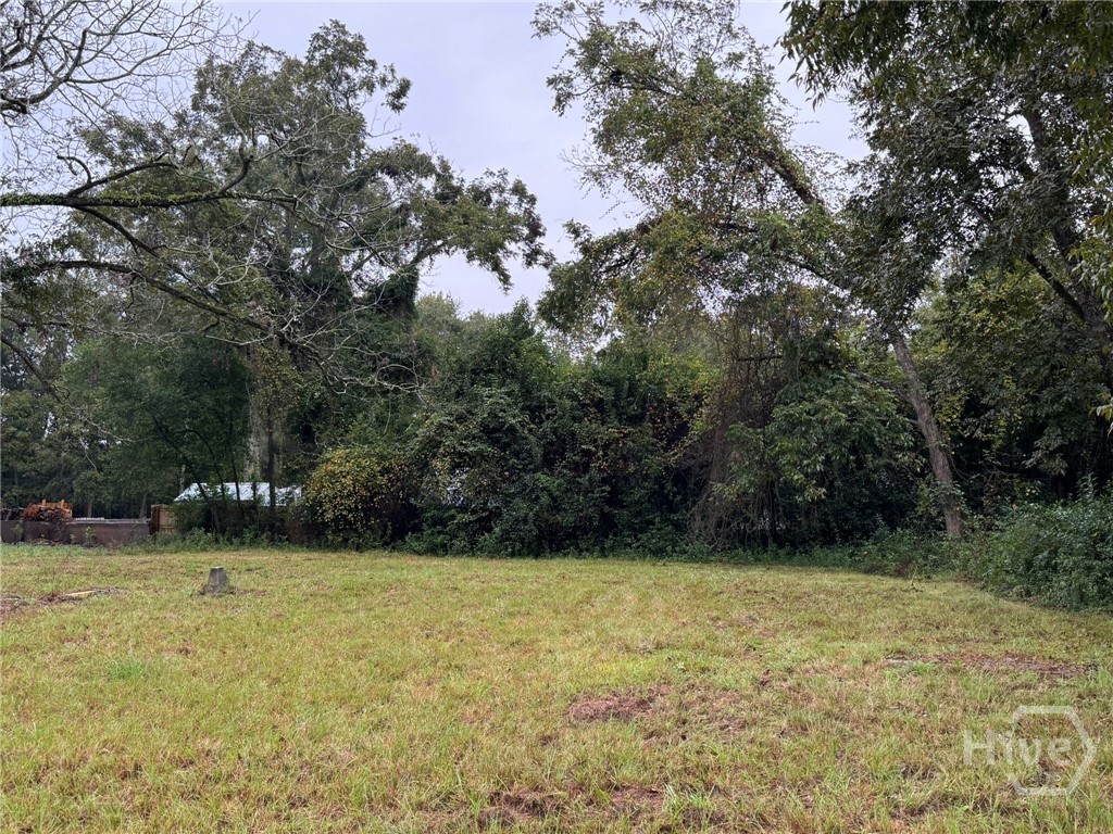 Homes for sale in Statesboro, GA | 711 W Grady St, Statesboro, GA 30458 | MLS# SA341801