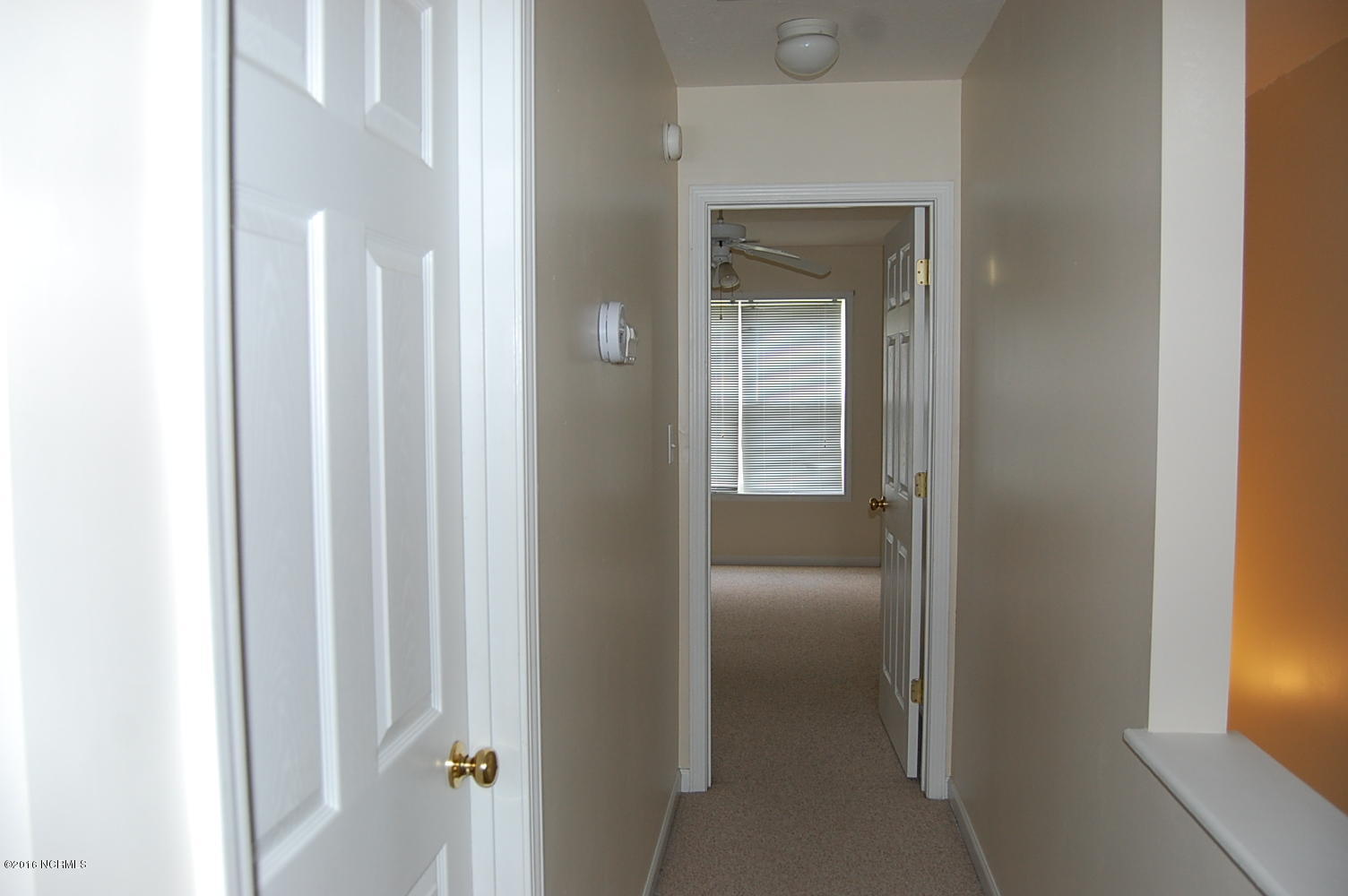 100540456 | Photo 13