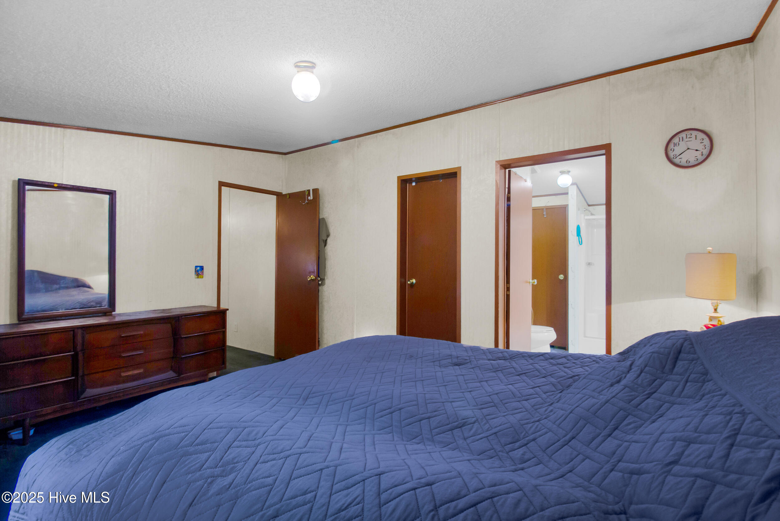 100535721 | Photo 12