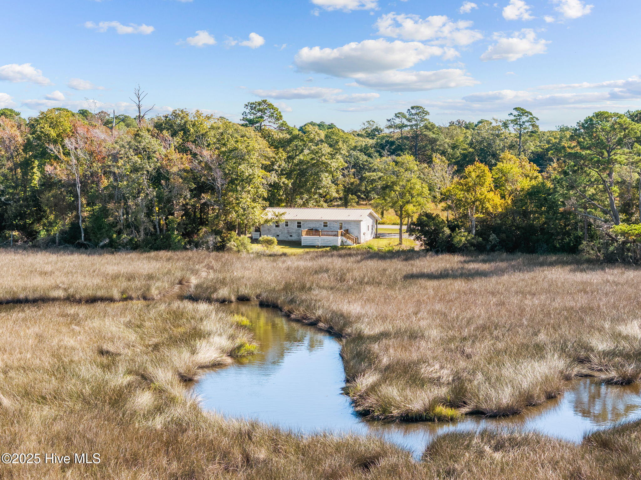 100538027 | Photo 47