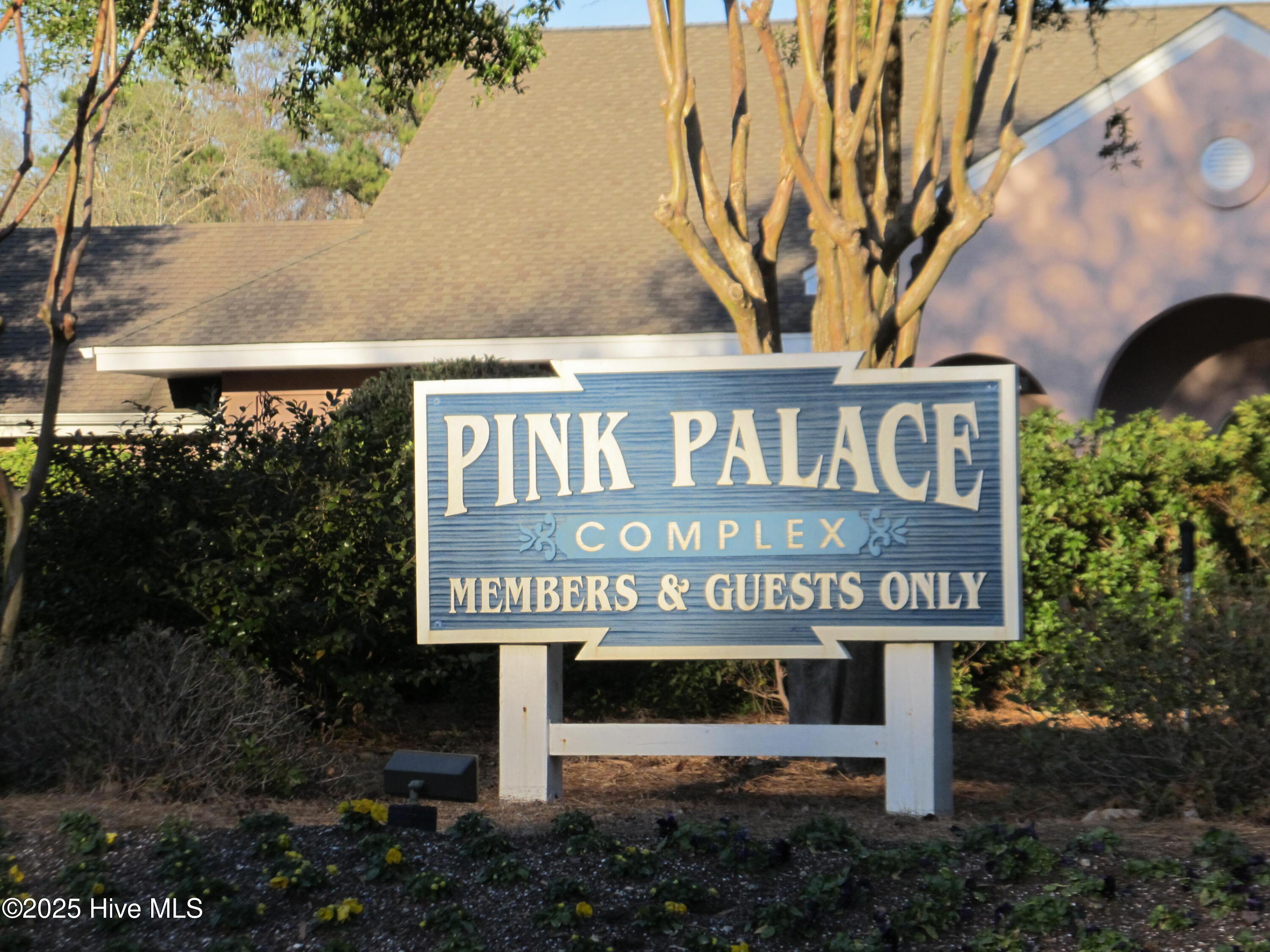 100528328 | Photo 11