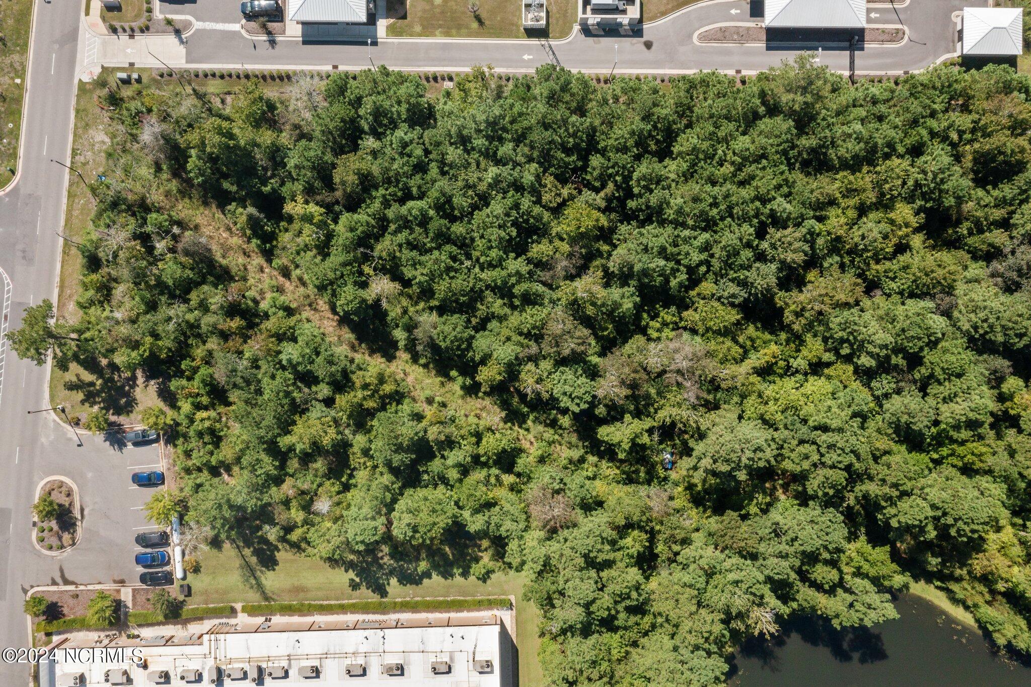 100467207 | Photo 17