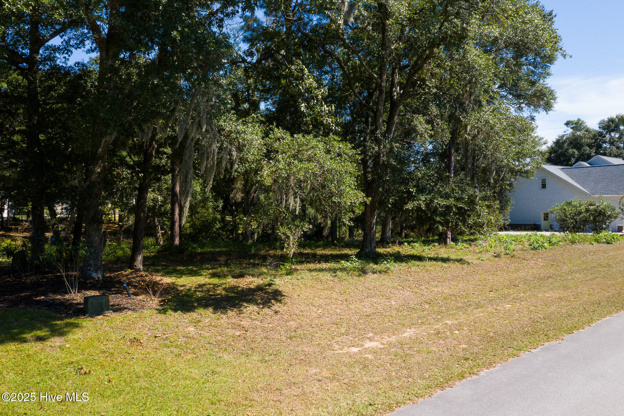 100533242 | Photo 16