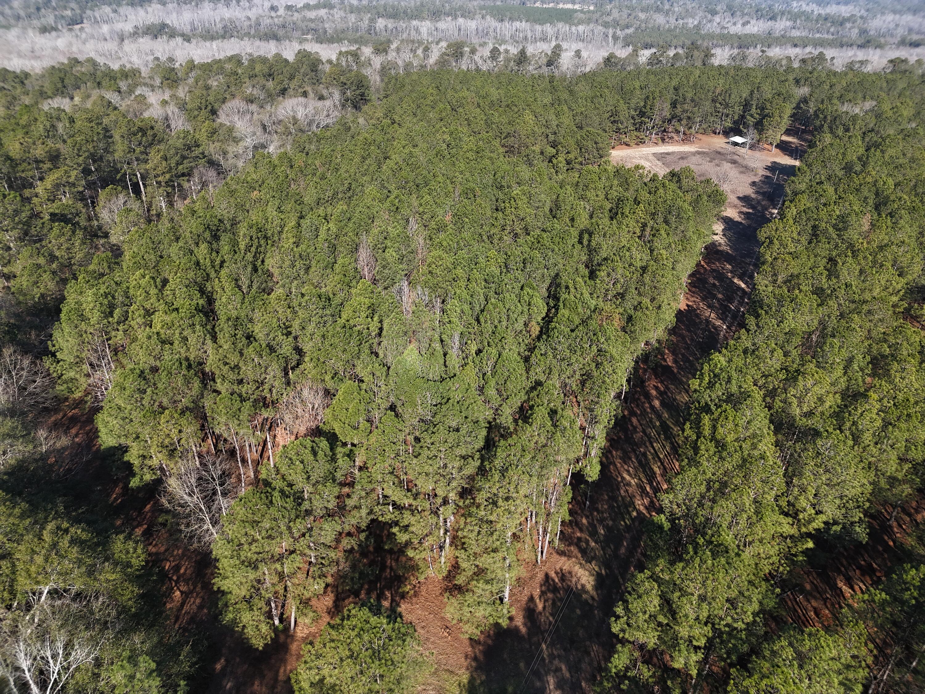 Homes for sale in Waynesboro, GA | 0 Ponderosa Rd, Waynesboro, GA 30830 | MLS# 551397