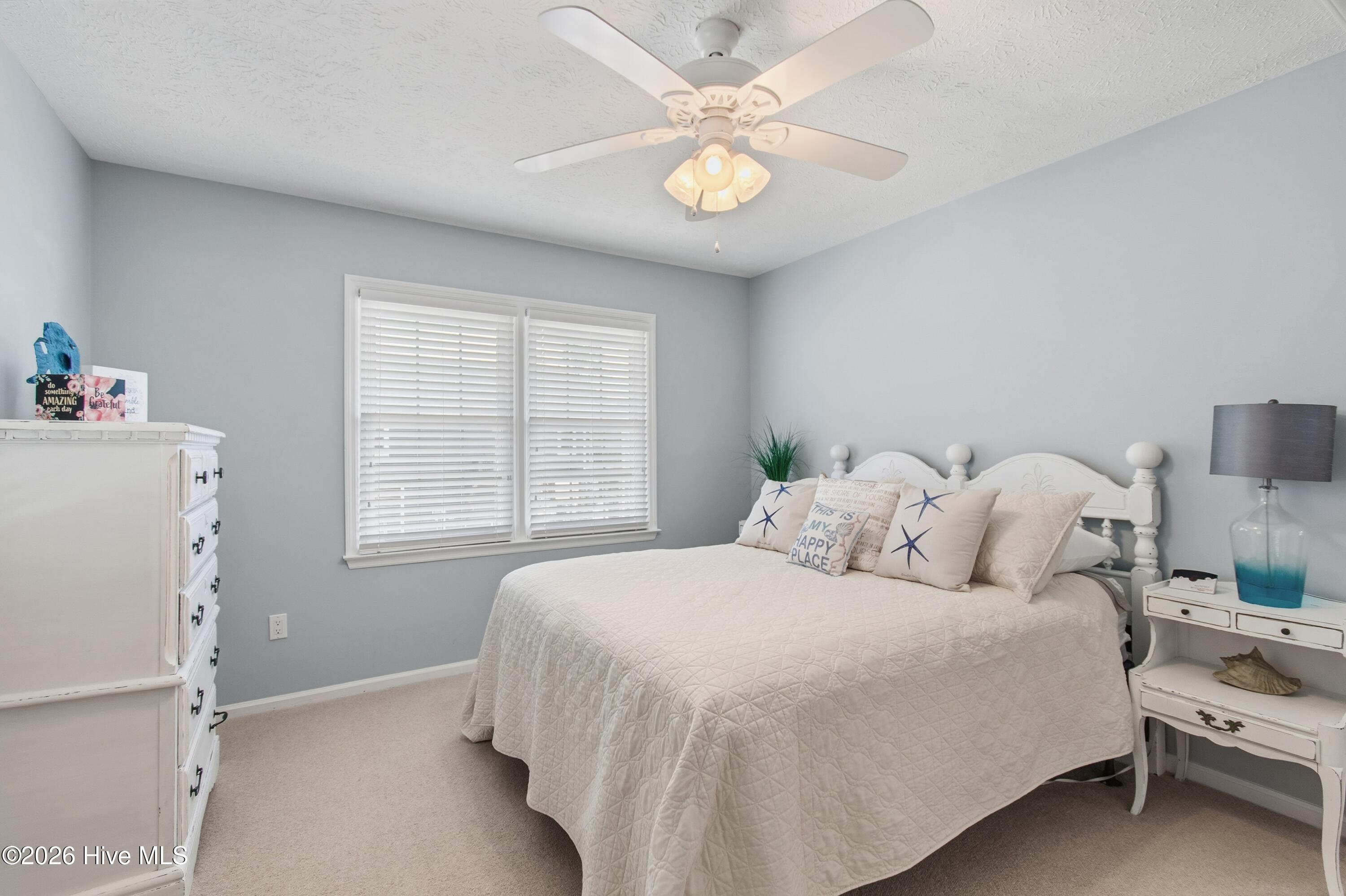 100550998 | Photo 36