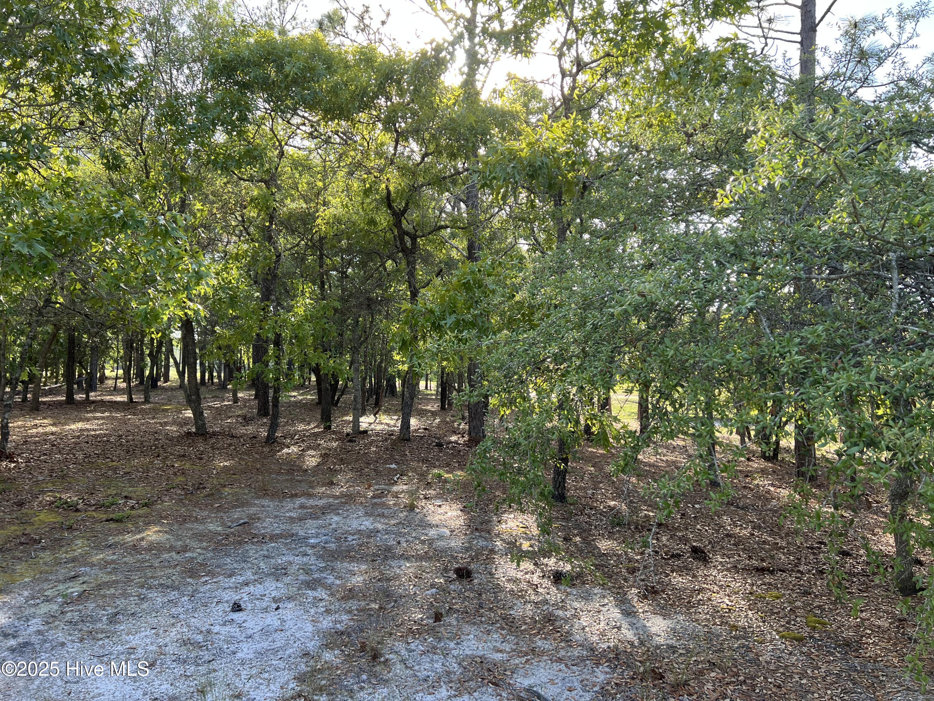 100506027 | Photo 22