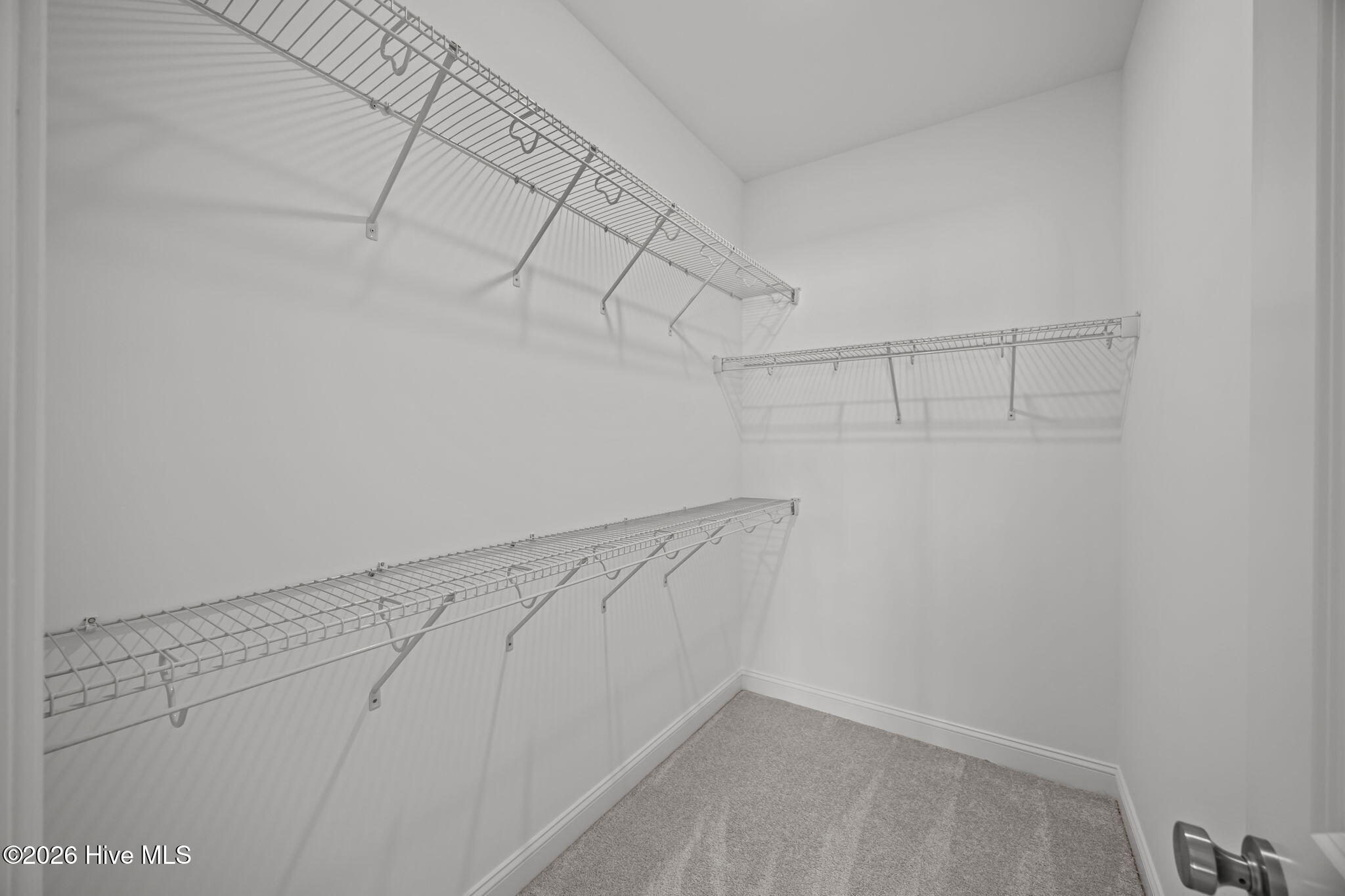 2404 Great Laurel Court, Greenville, NC, 27834