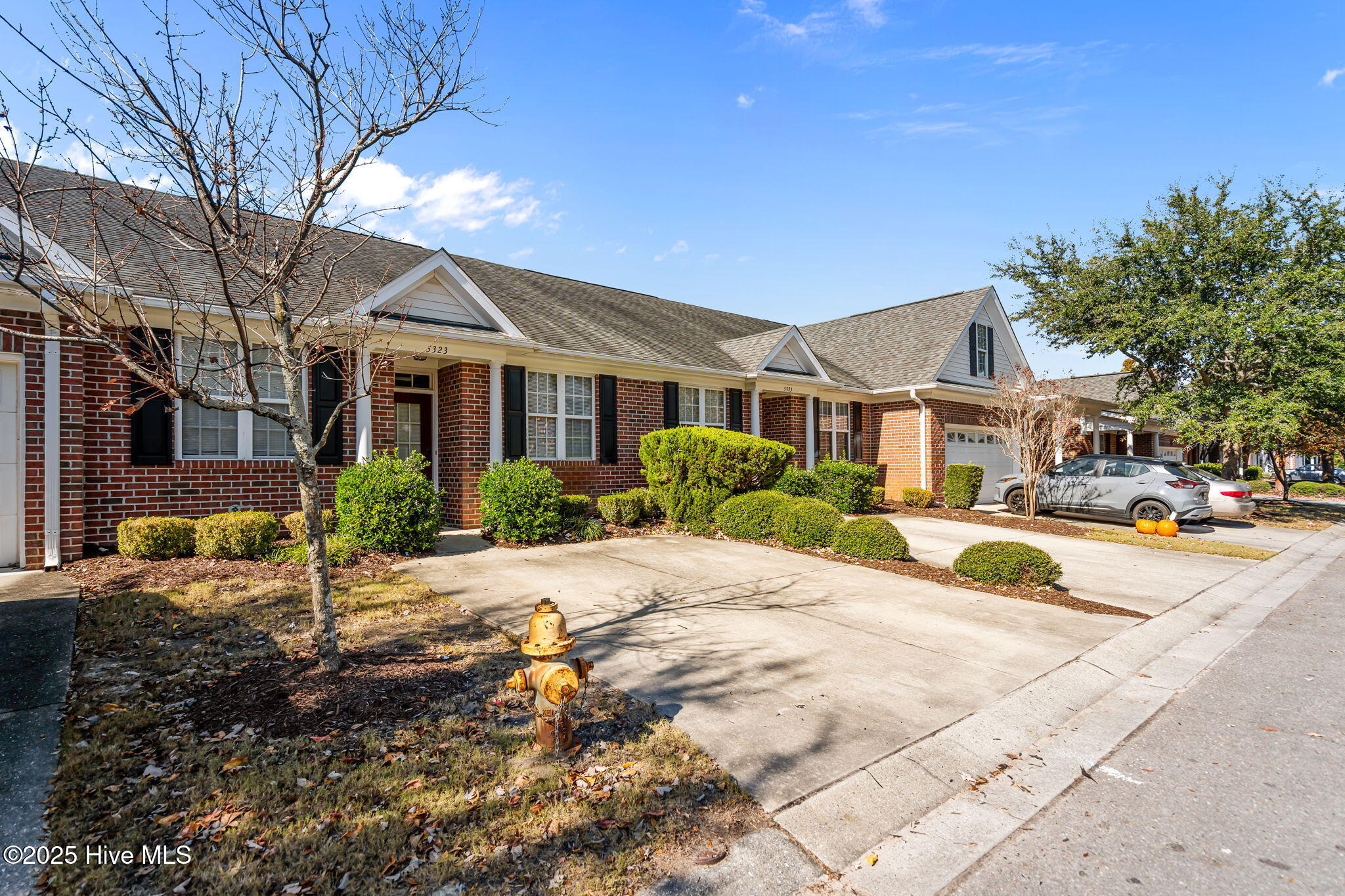 100540244 | Photo 42