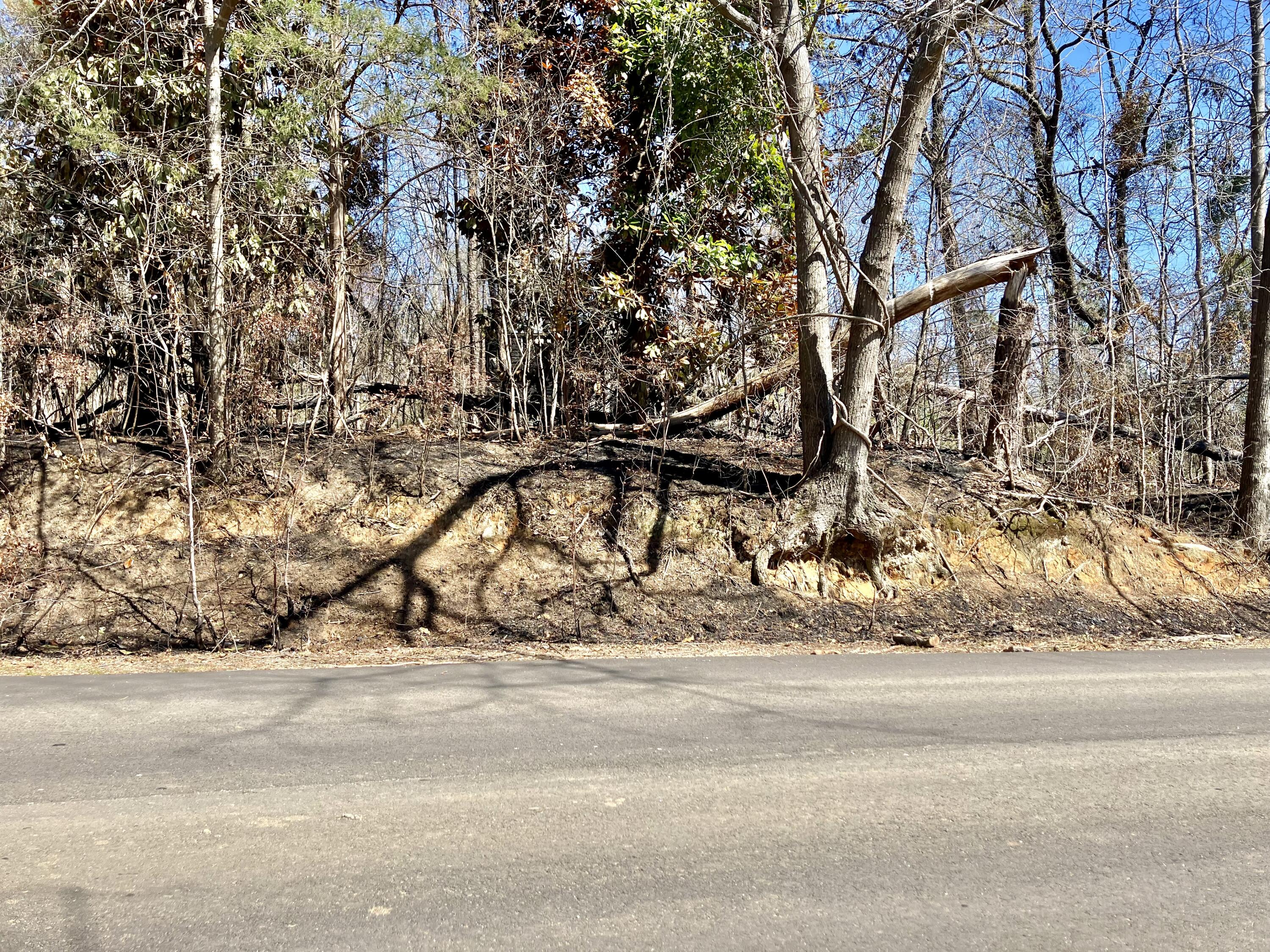 Property at 321 Railroad Avenue