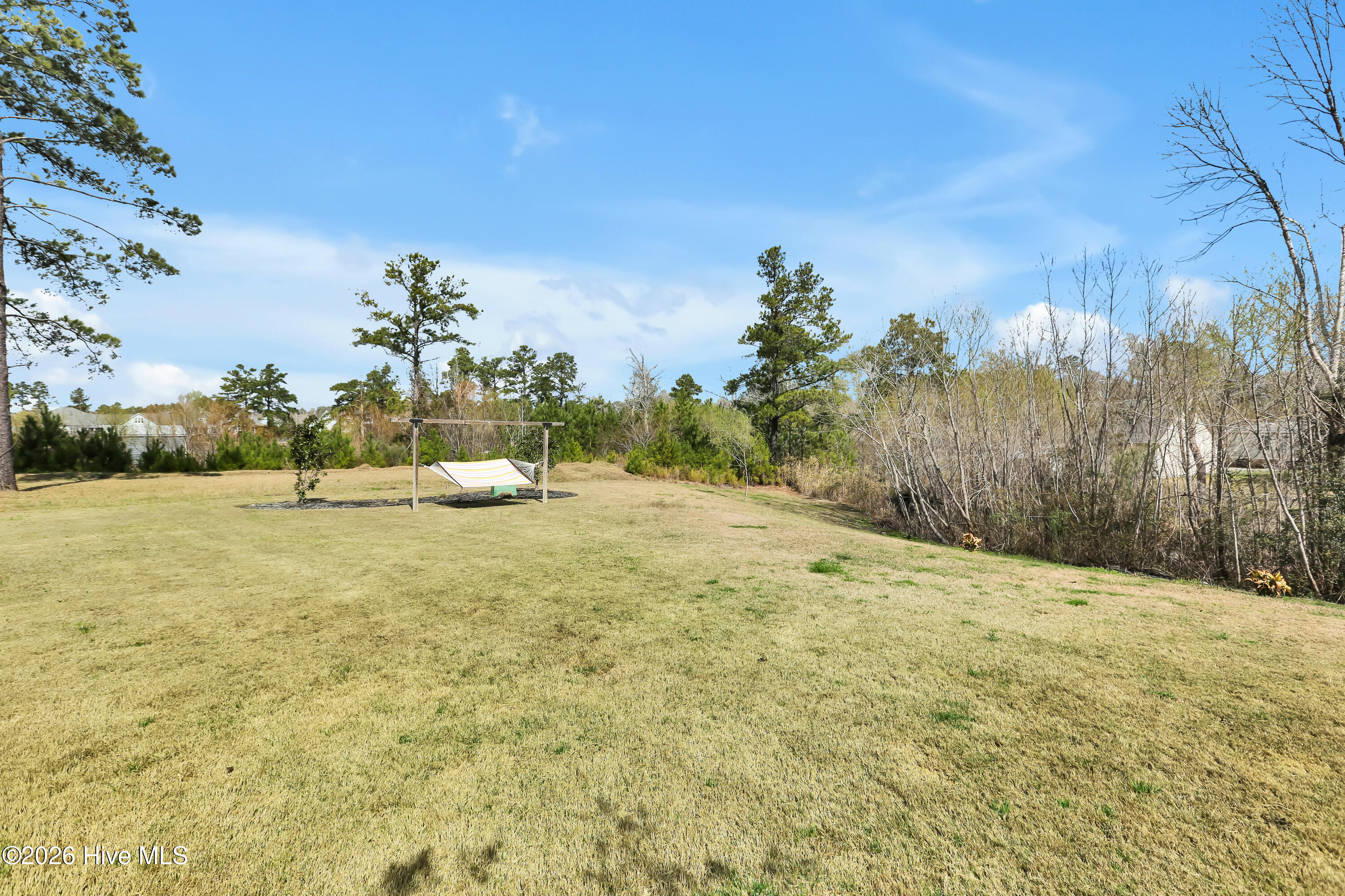 100560278 | Photo 36