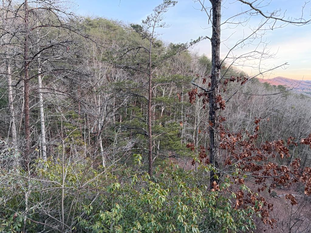 Exterior photo of Lot #118 Royal View Landing, Murphy, NC 28906. MLS: 98524942