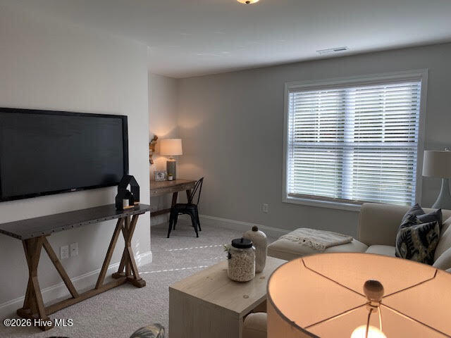 100567488 | Photo 20