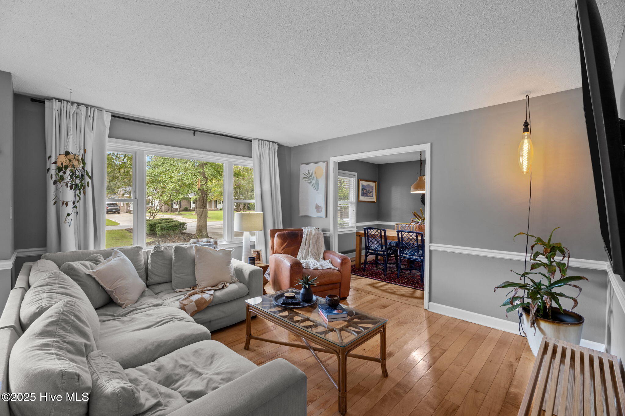 15-web-or-mls-0C0A2940