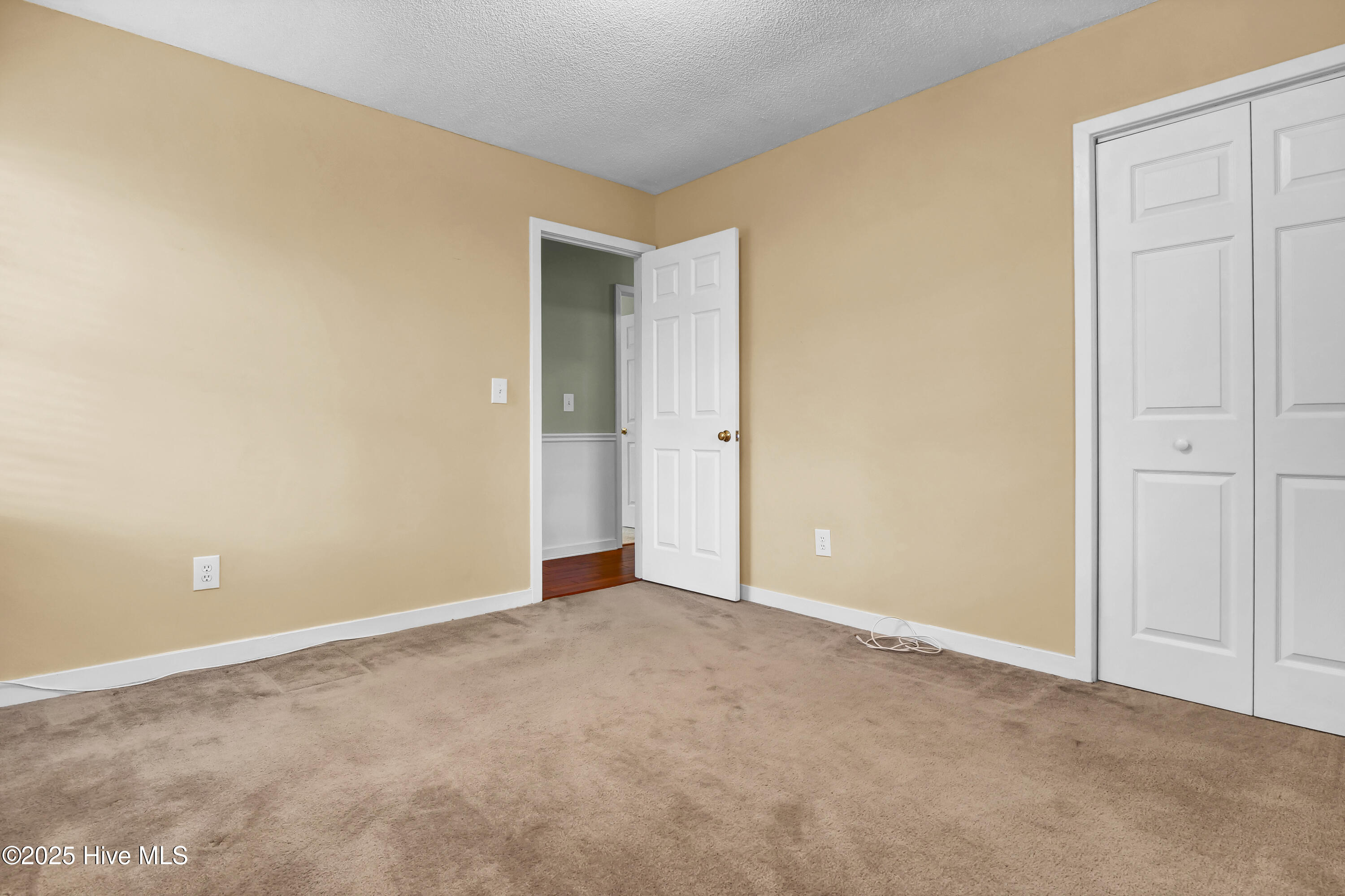 100545565 | Photo 19