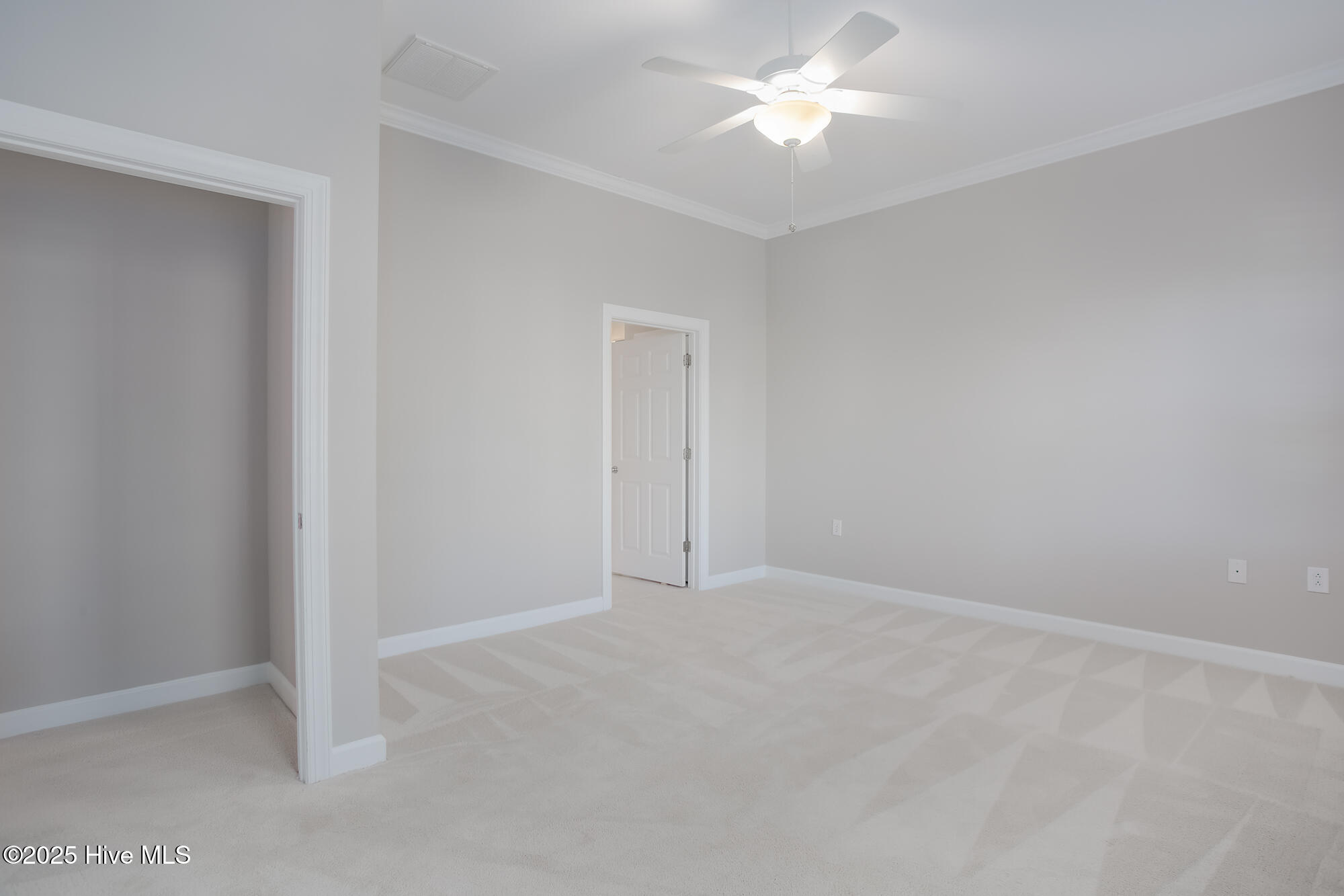 100510671 | Photo 14