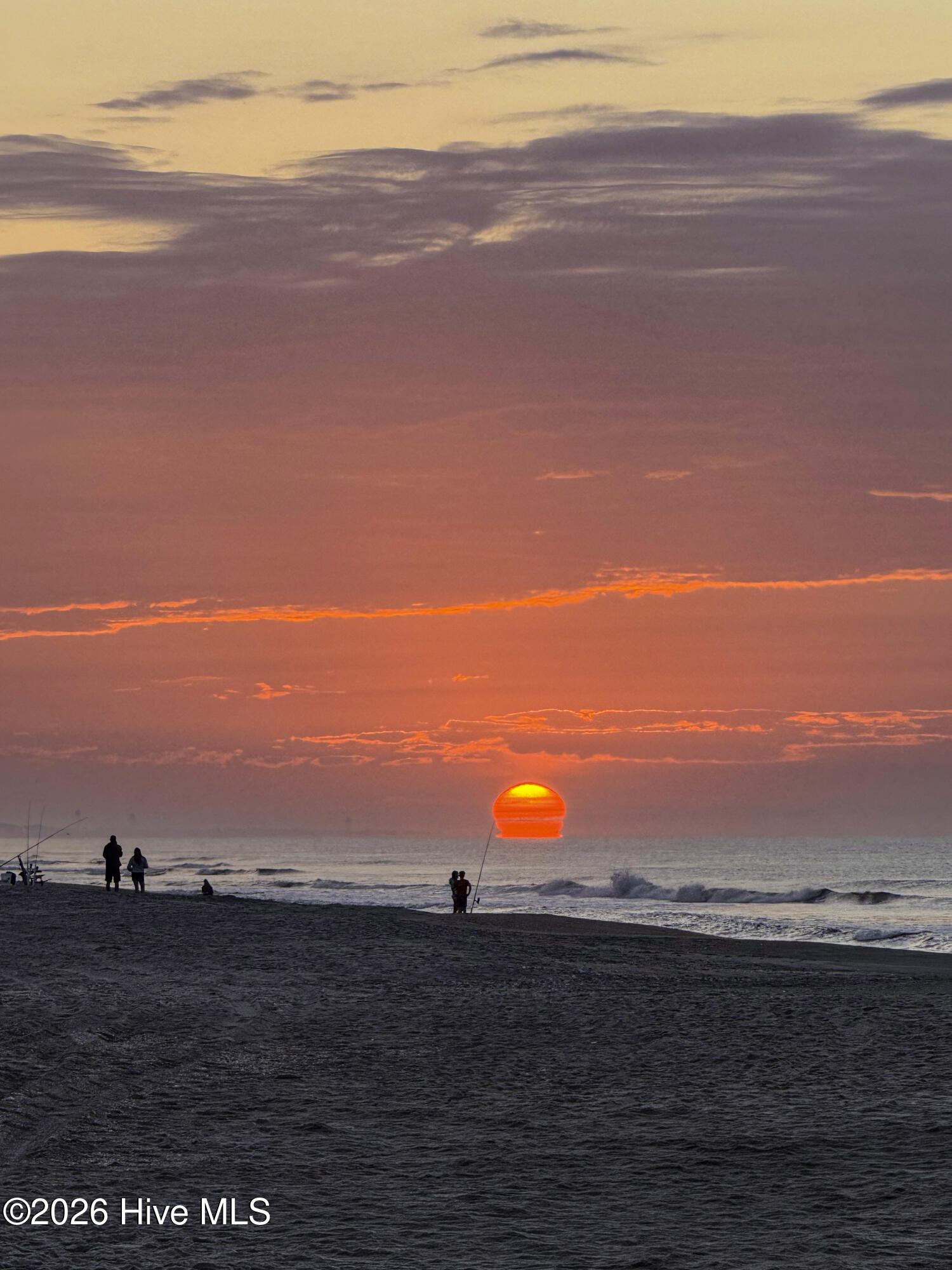 100554981 | Photo 123