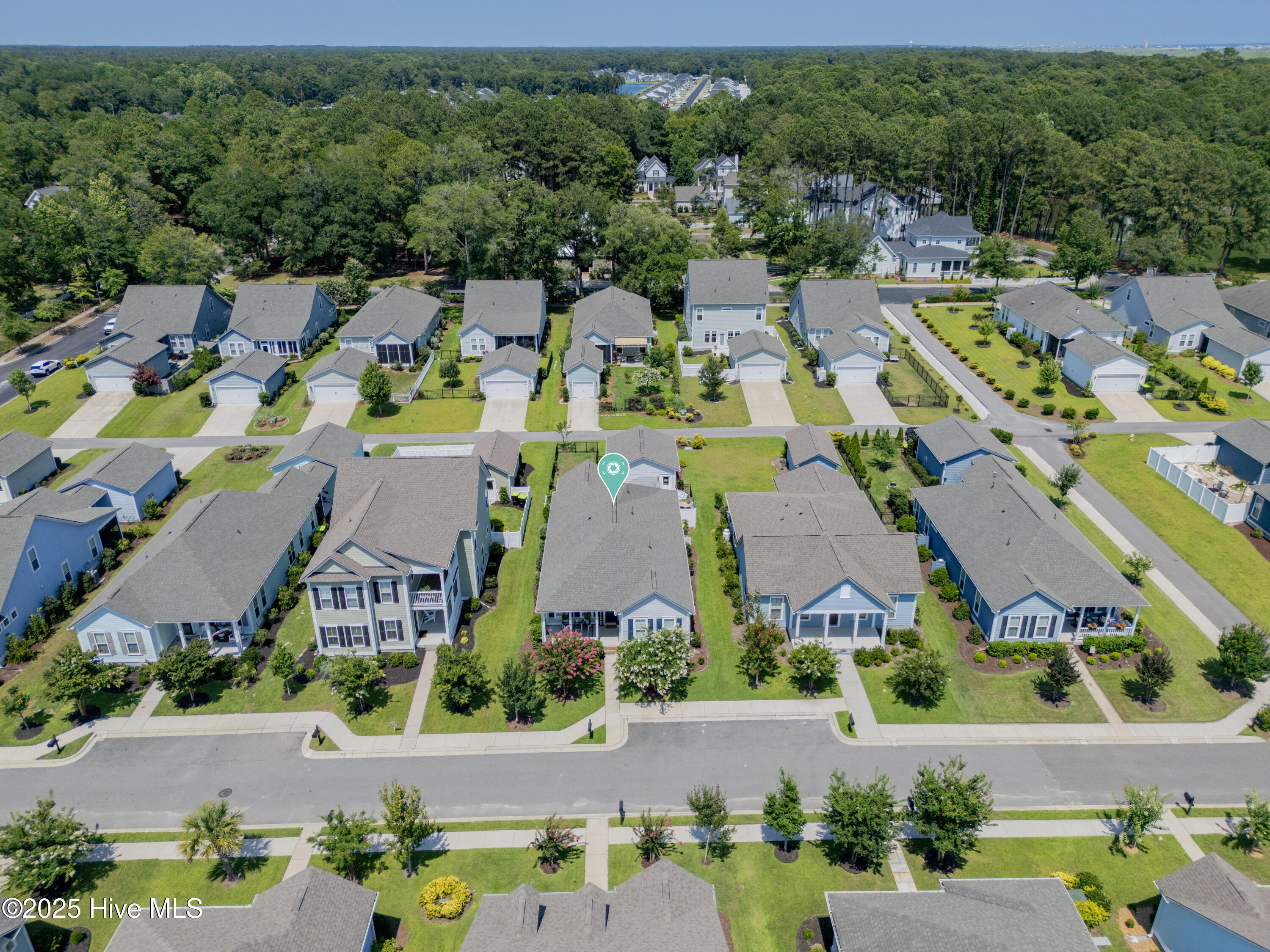 100517426 | Photo 49