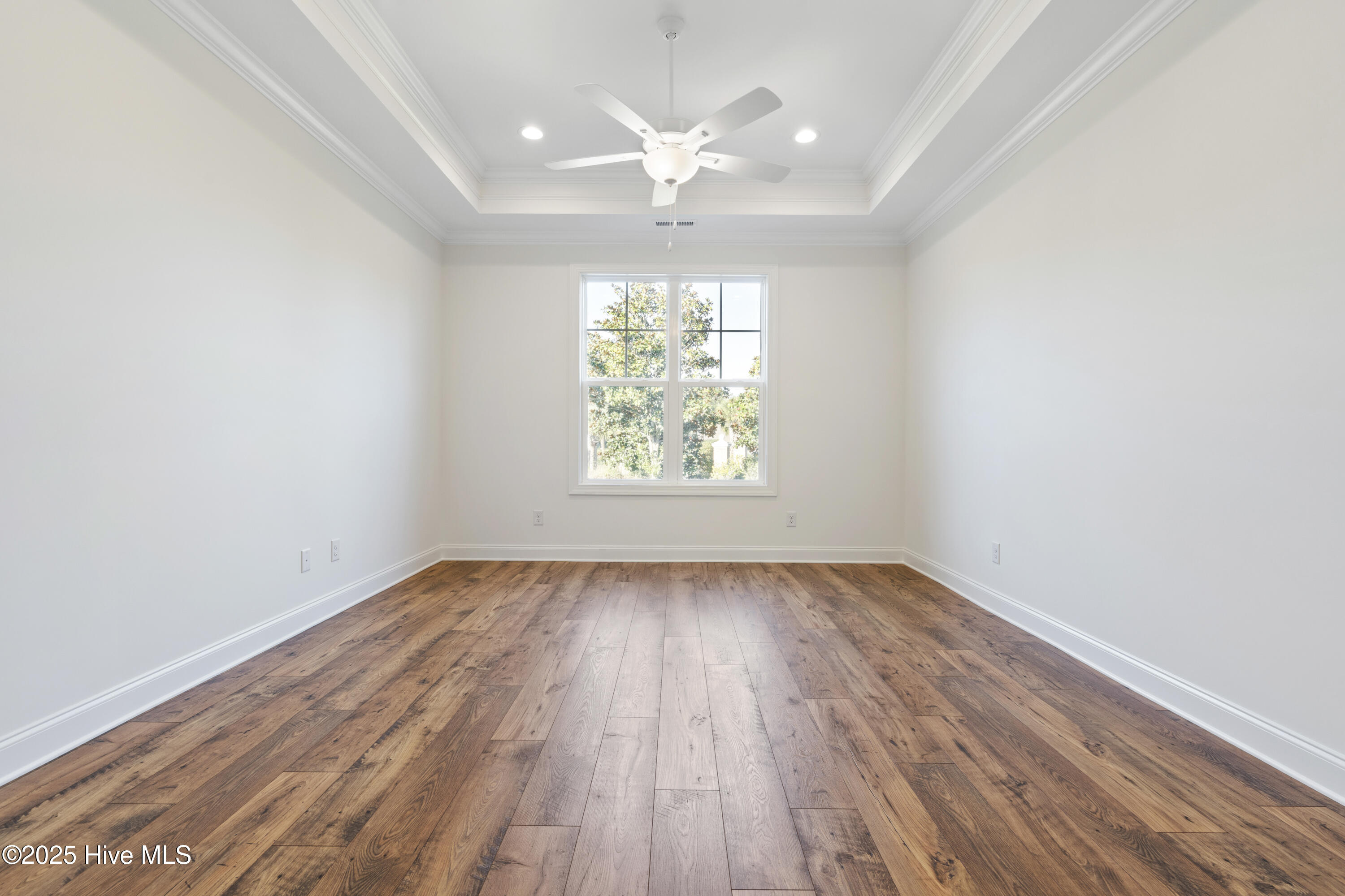 100537559 | Photo 23