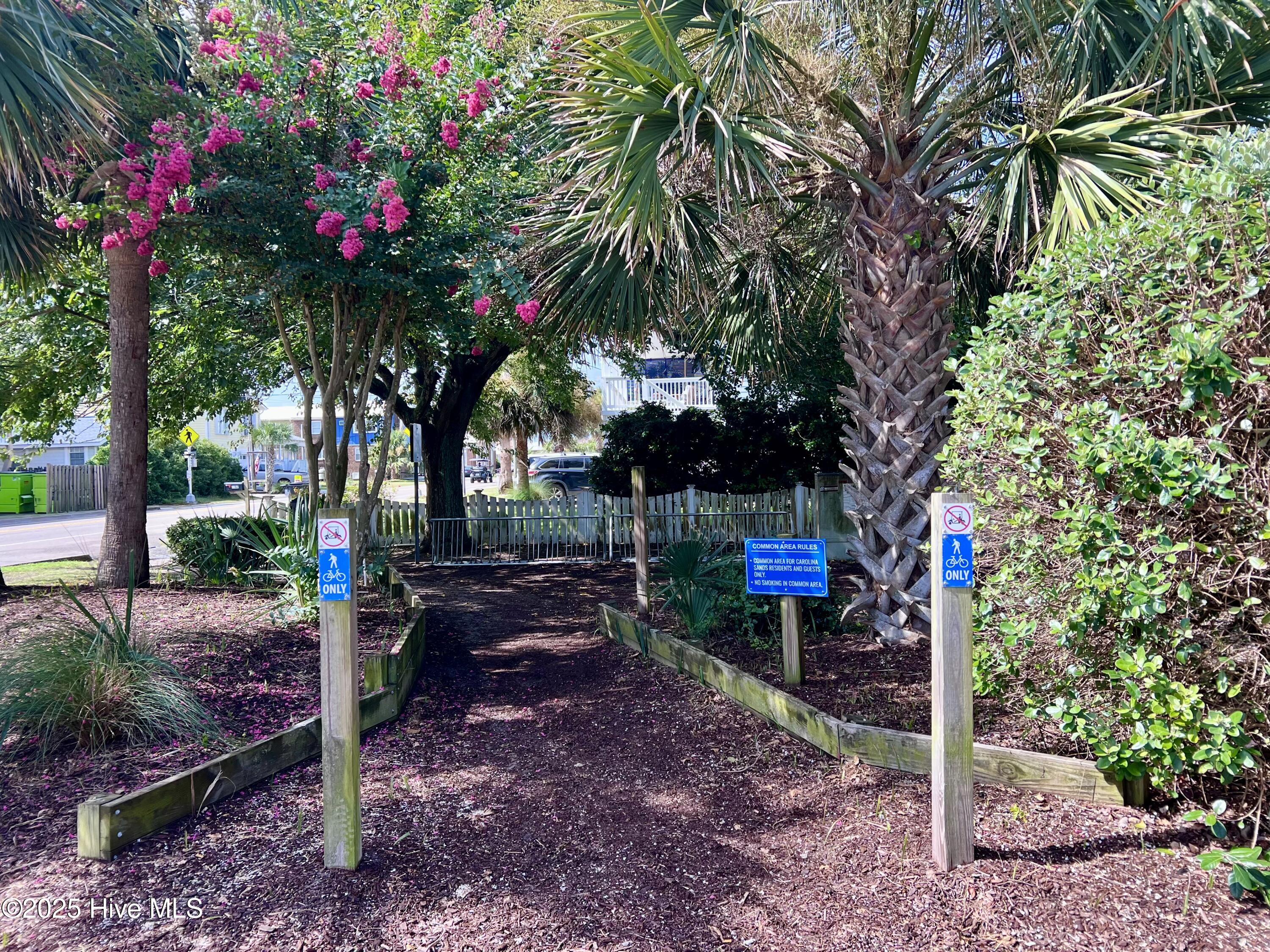 100519287 | Photo 46