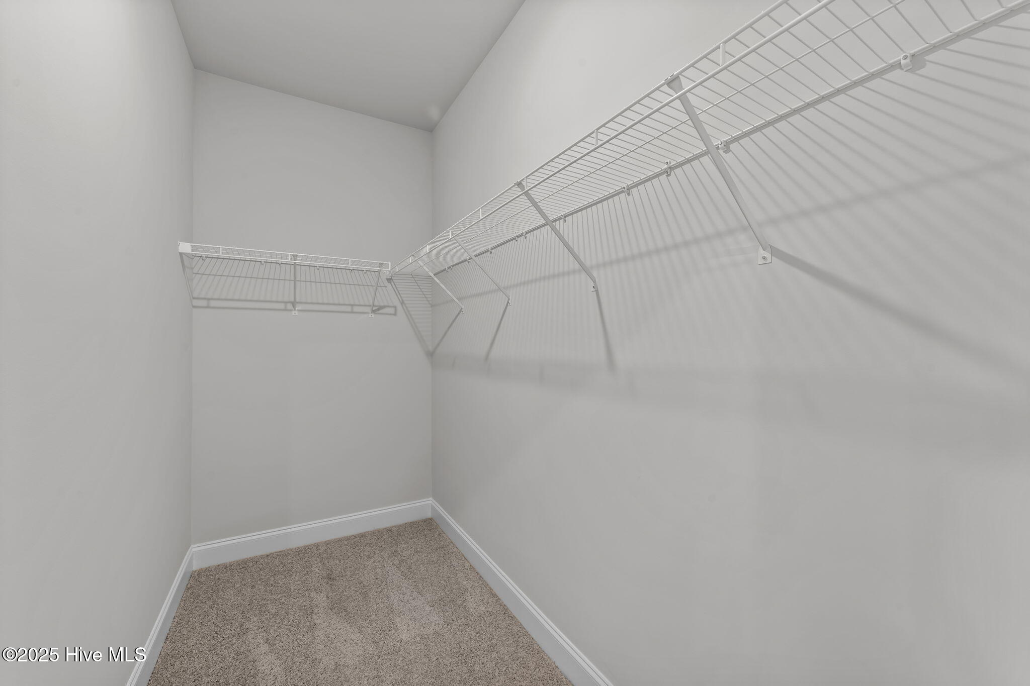 100523816 | Photo 26