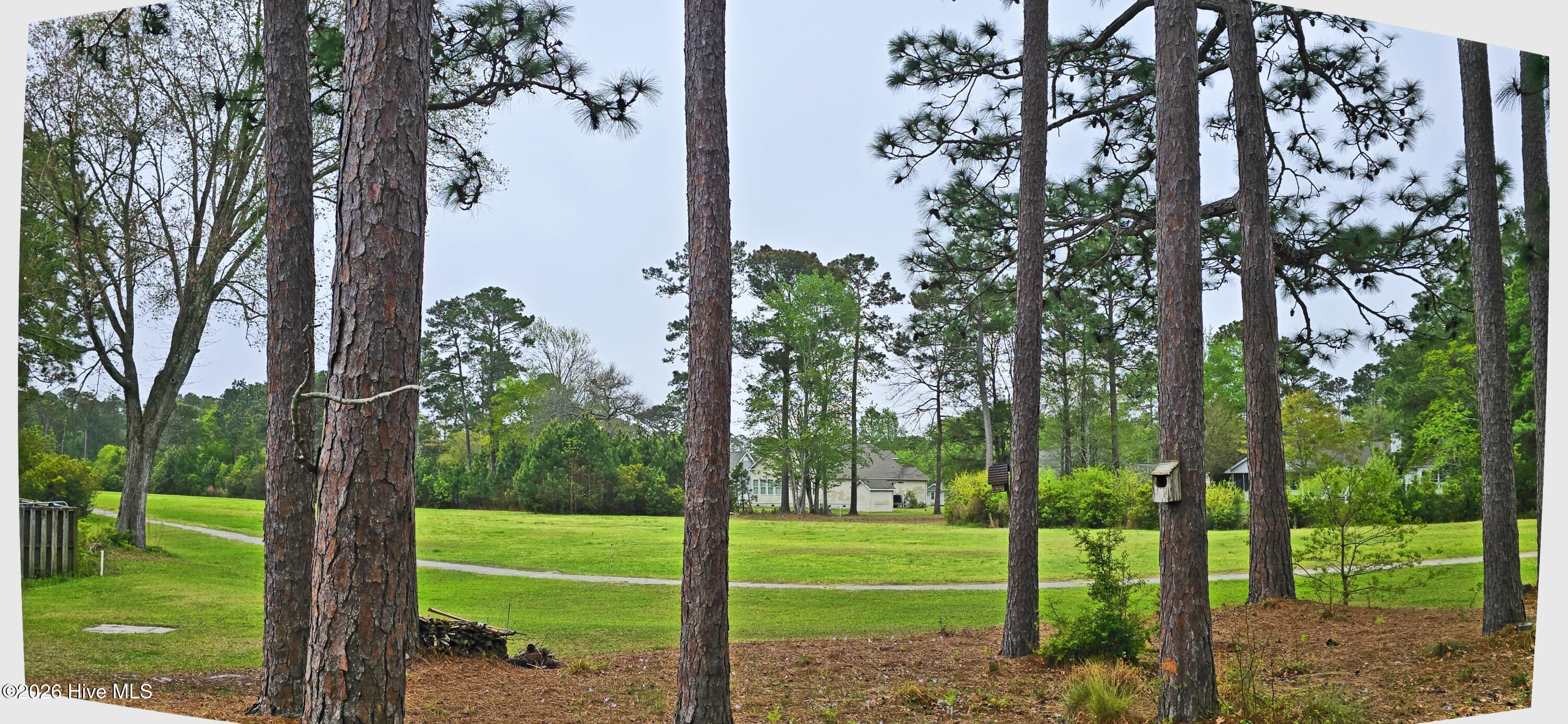 100565101 | Photo 23