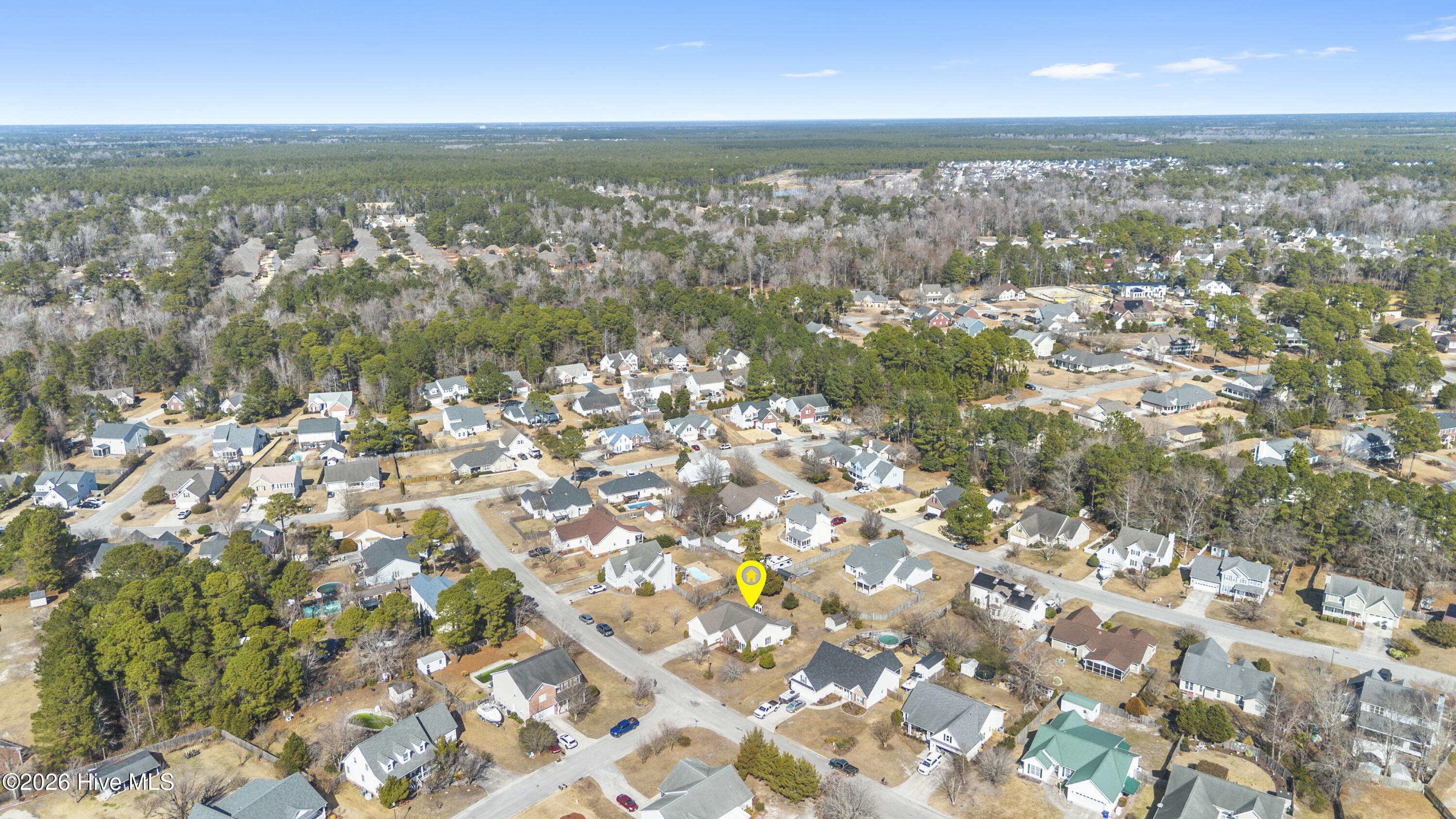 100554853 | Photo 54