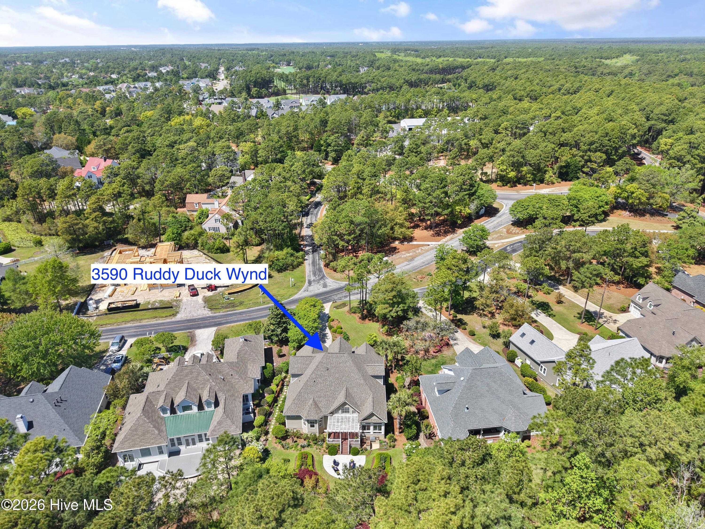 100567309 | Photo 90