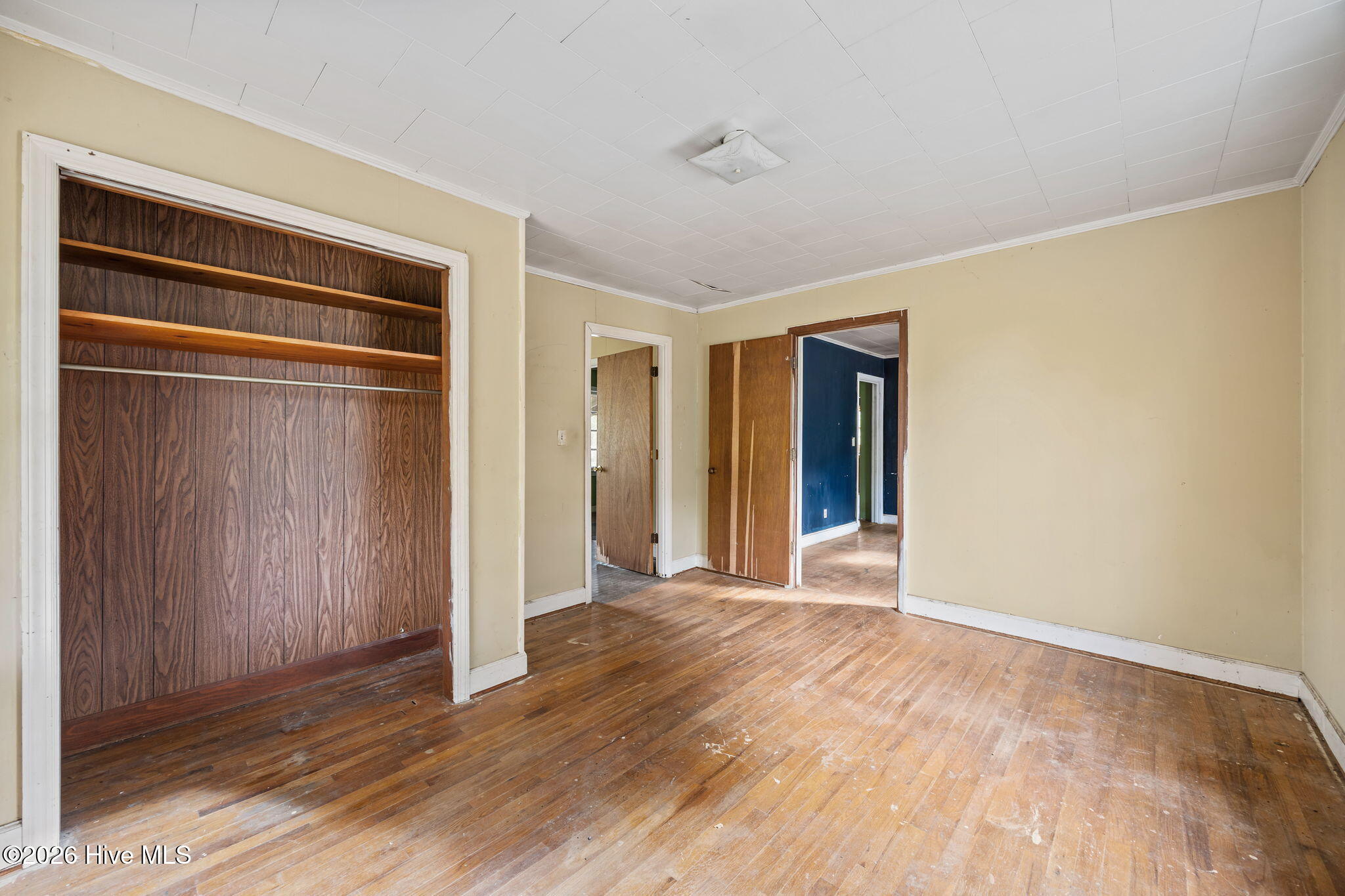 100565134 | Photo 27