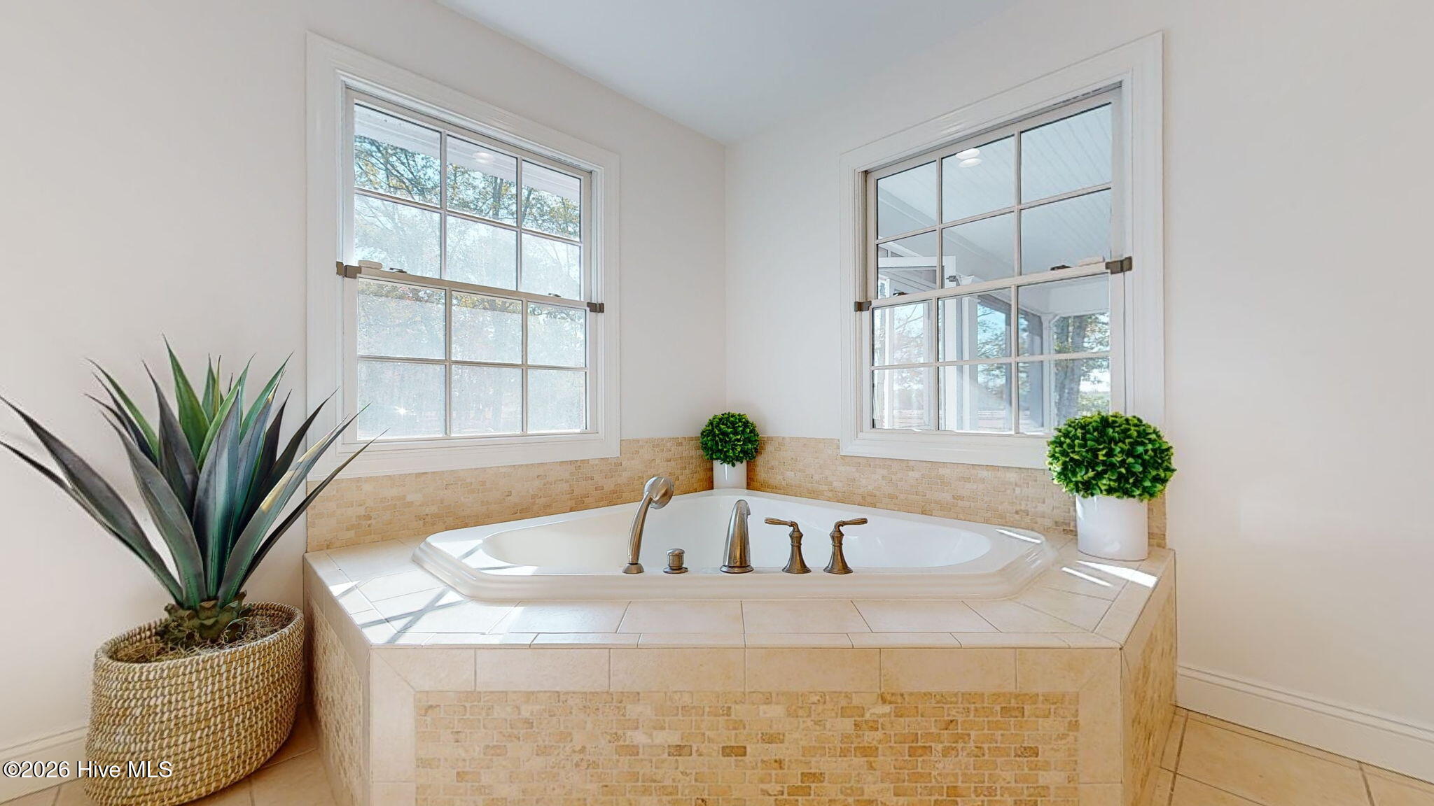 100554619 | Photo 39