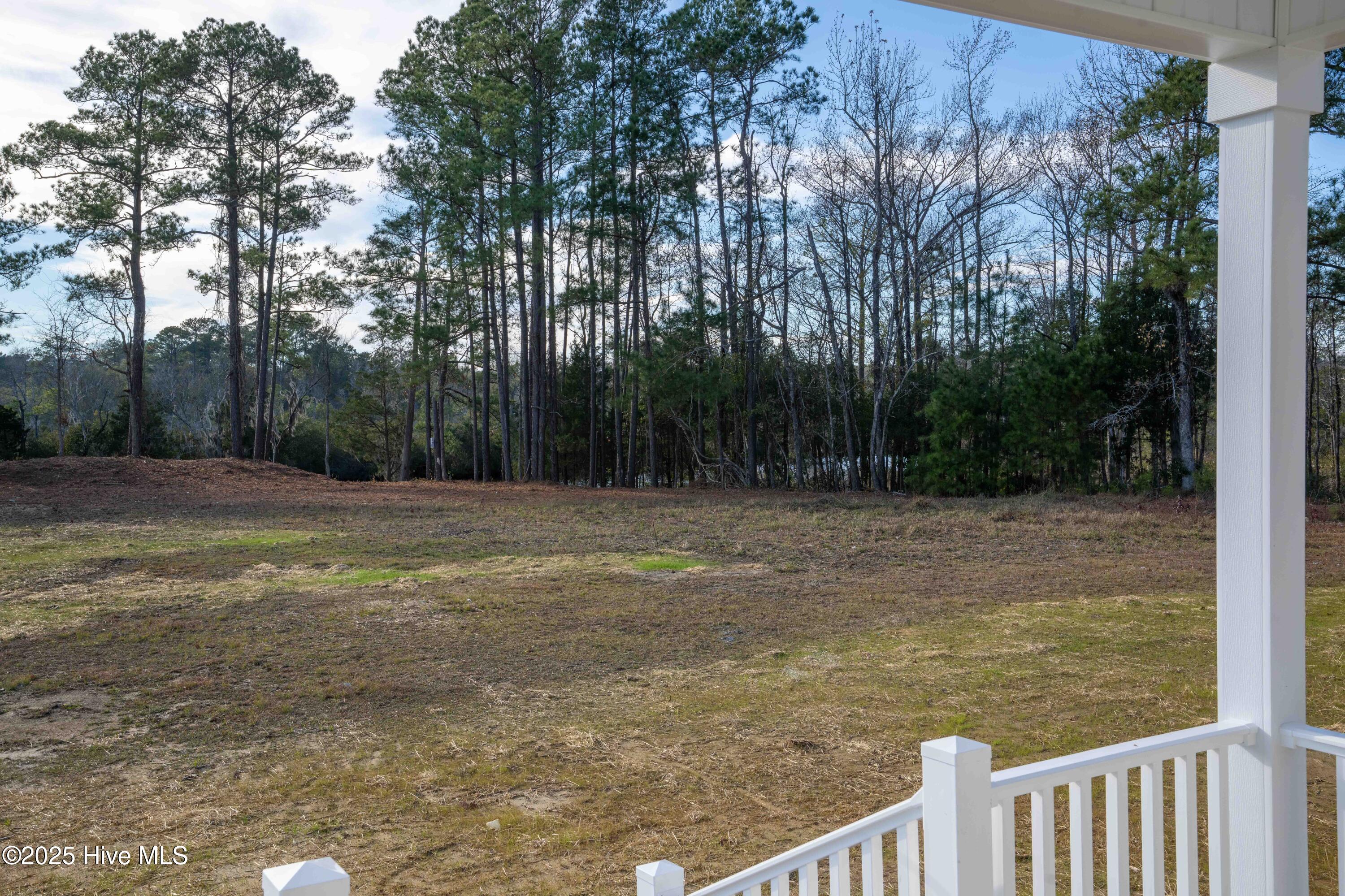 100527049 | Photo 15