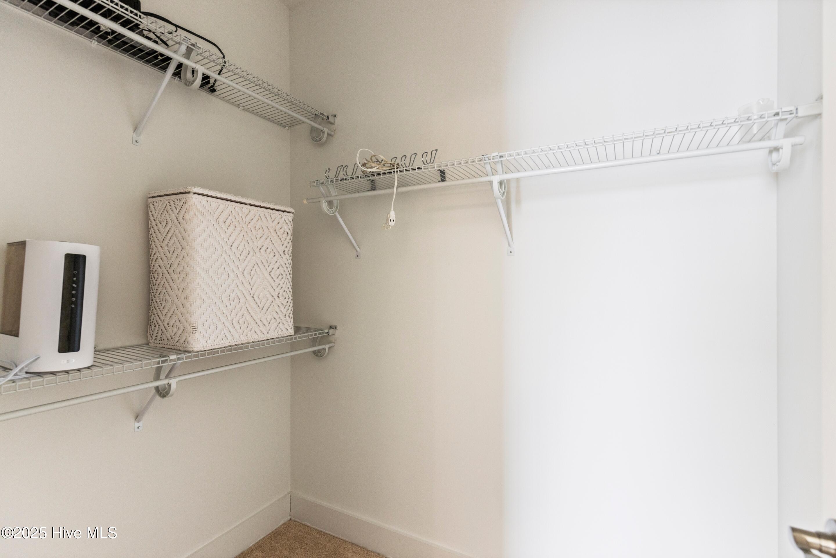 100542778 | Photo 23