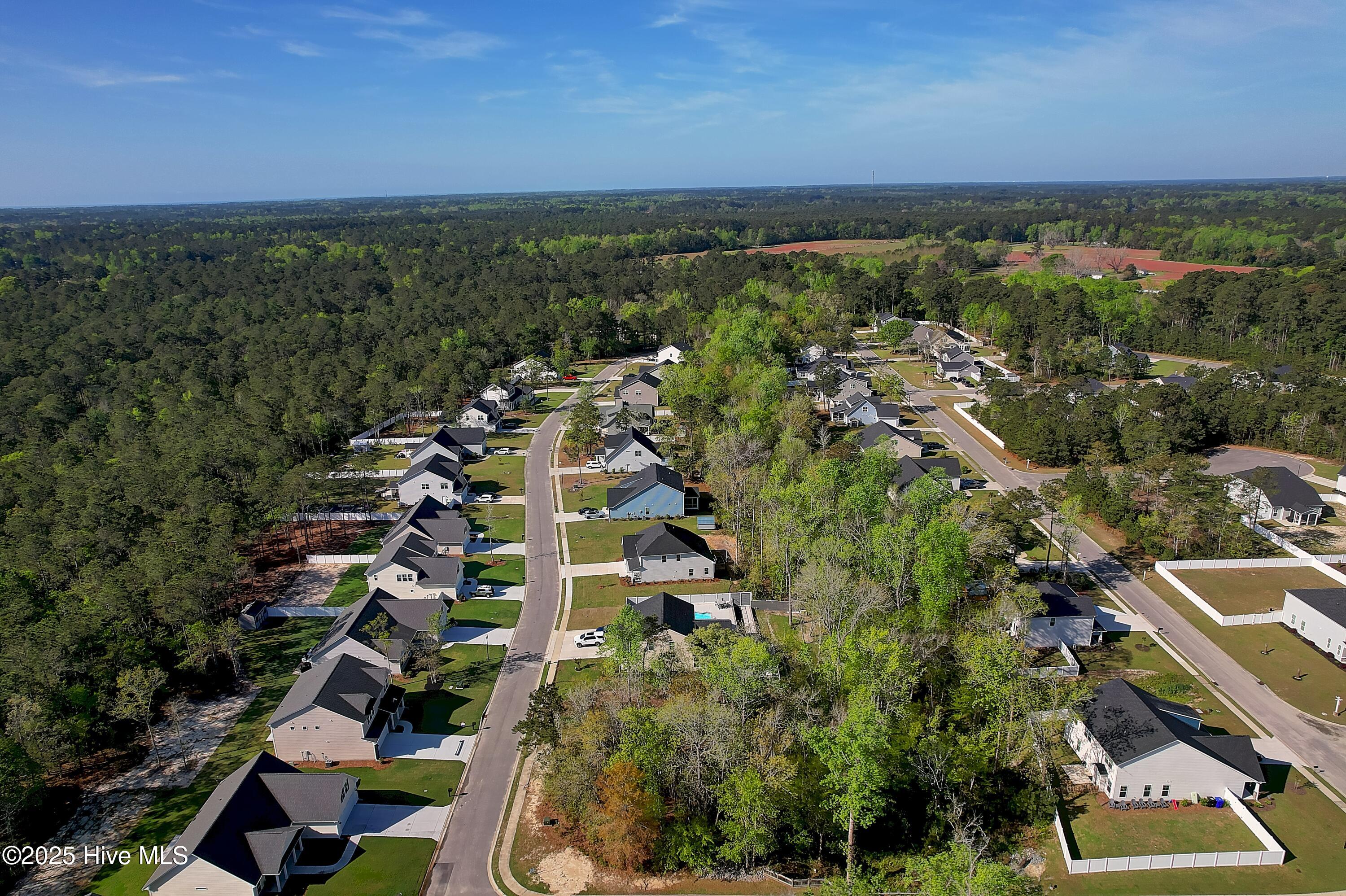 100500002 | Photo 11