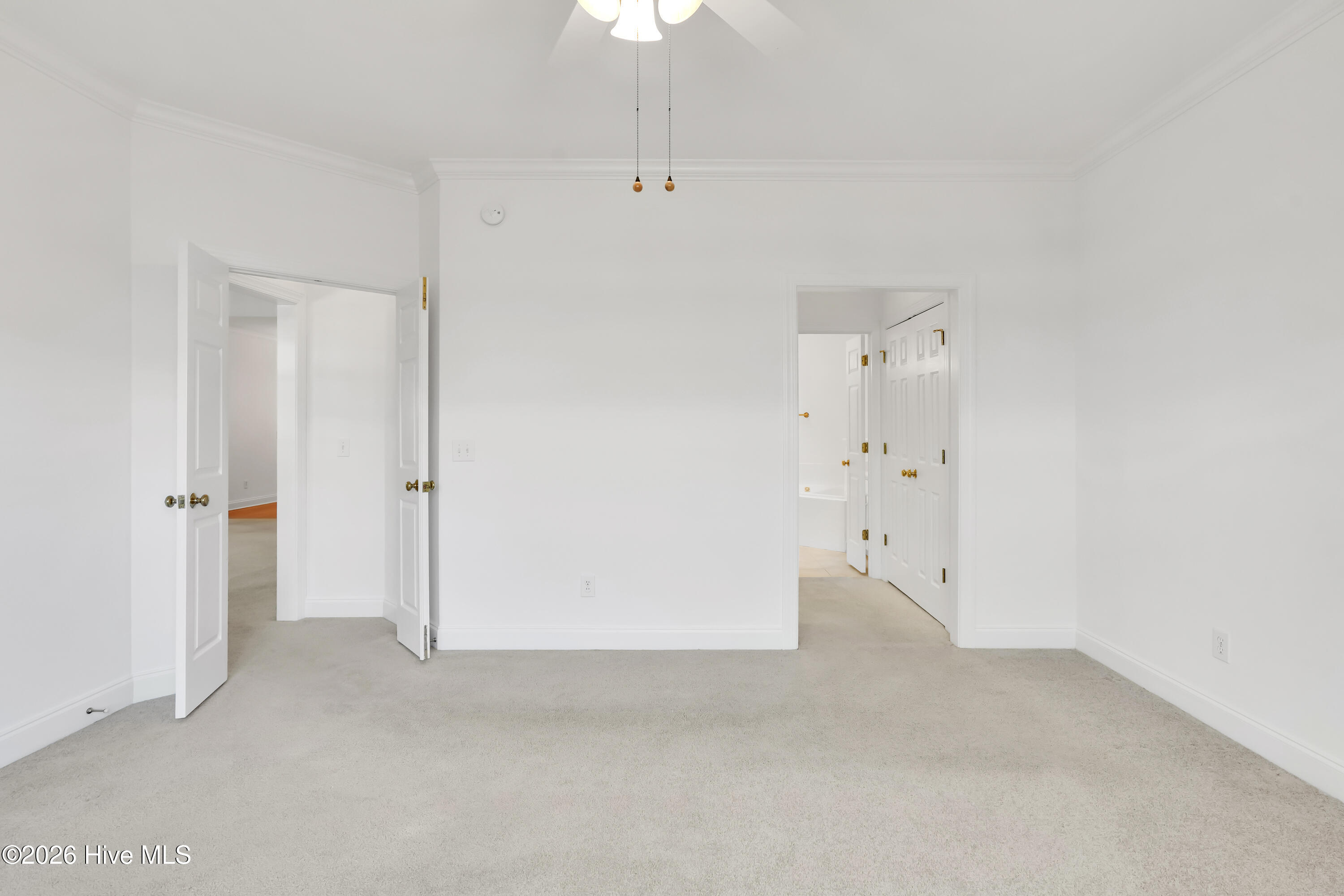 100554924 | Photo 31