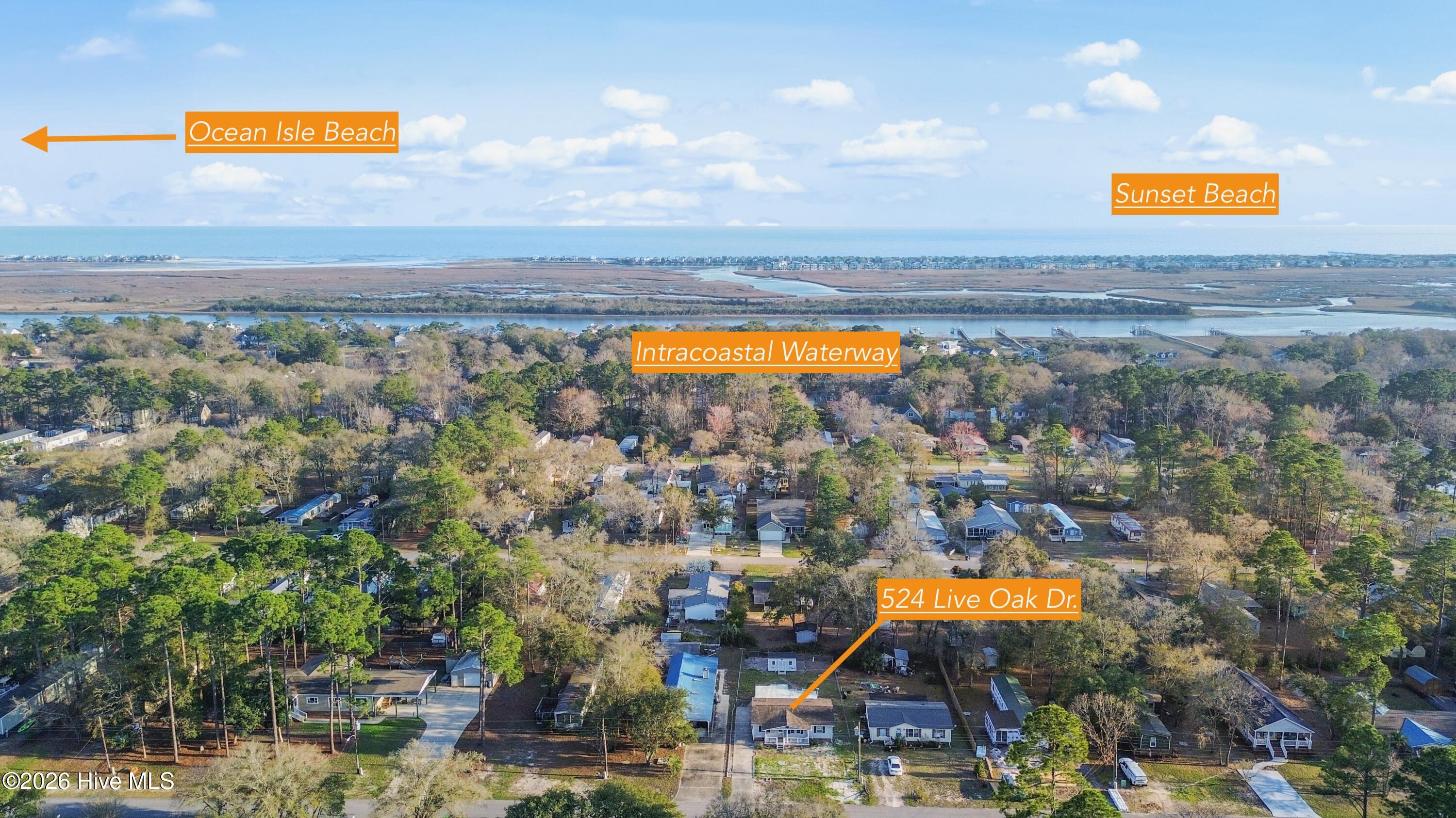 100560053 | Photo 33