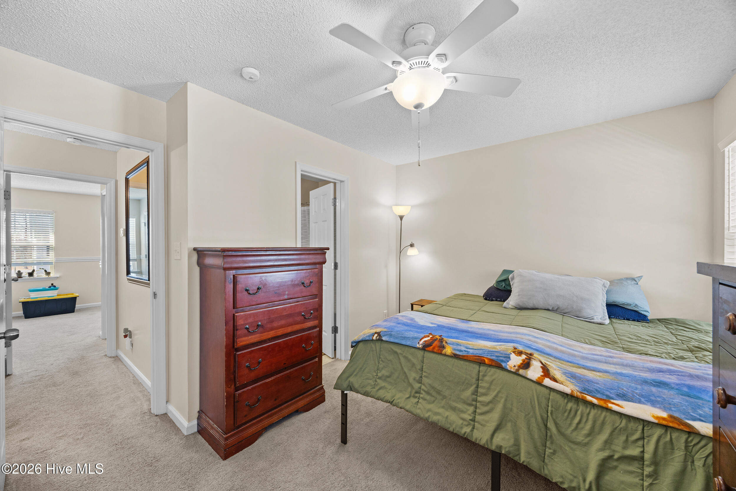 100554013 | Photo 18