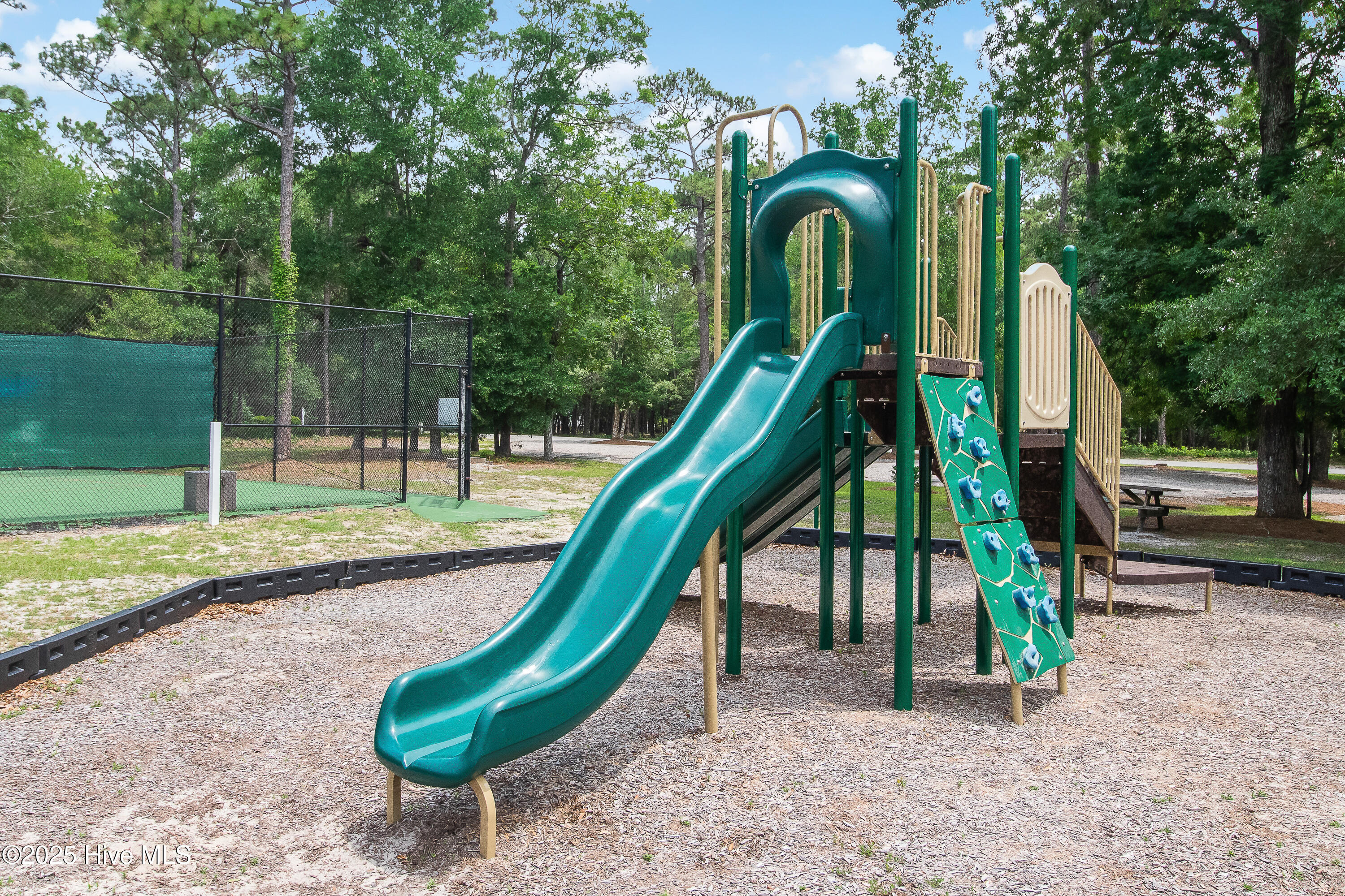 100534894 | Photo 11