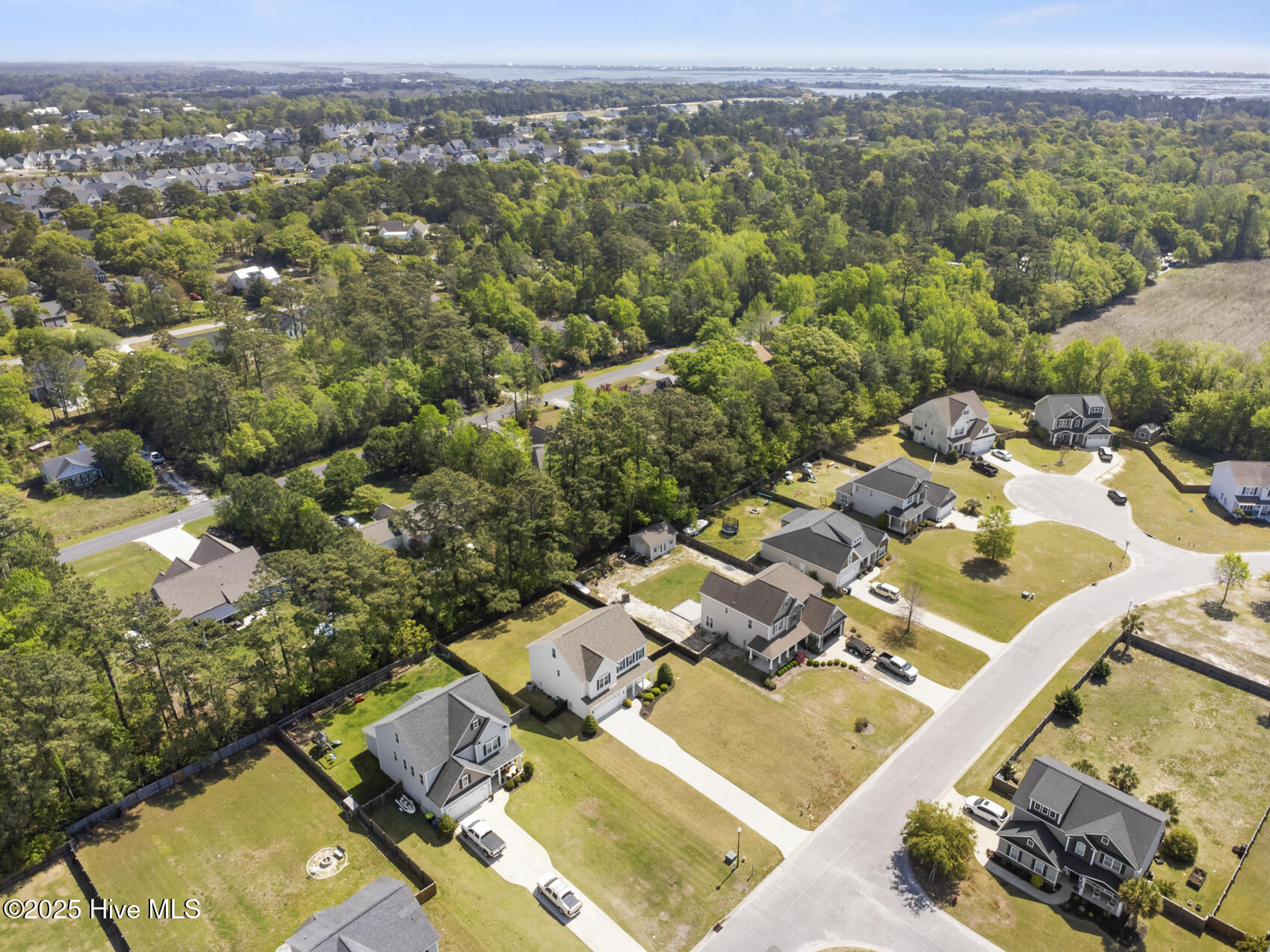 100501519 | Photo 56