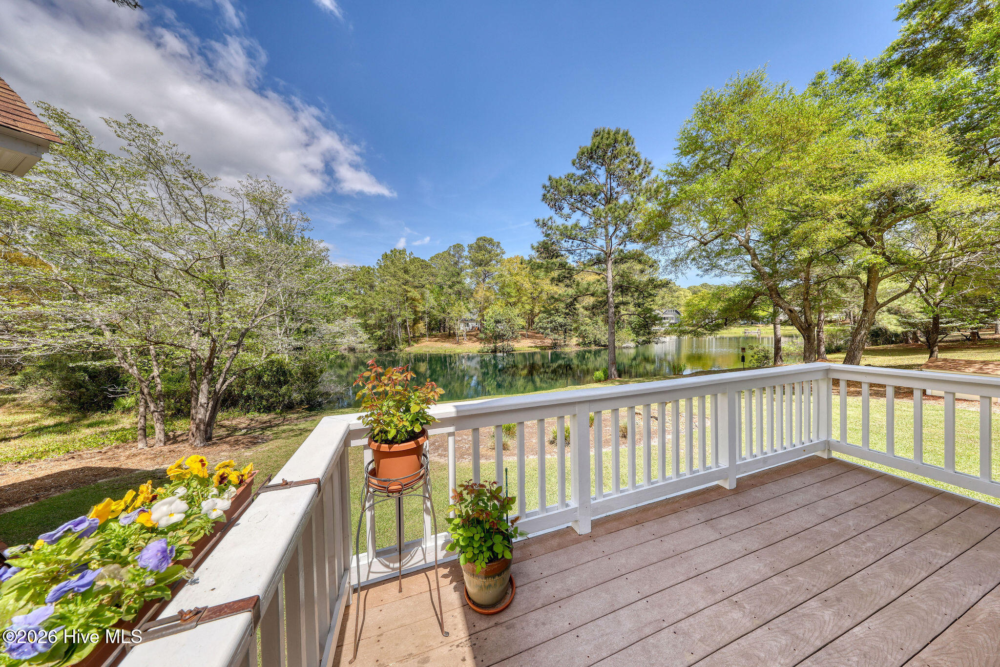 100567375 | Photo 31