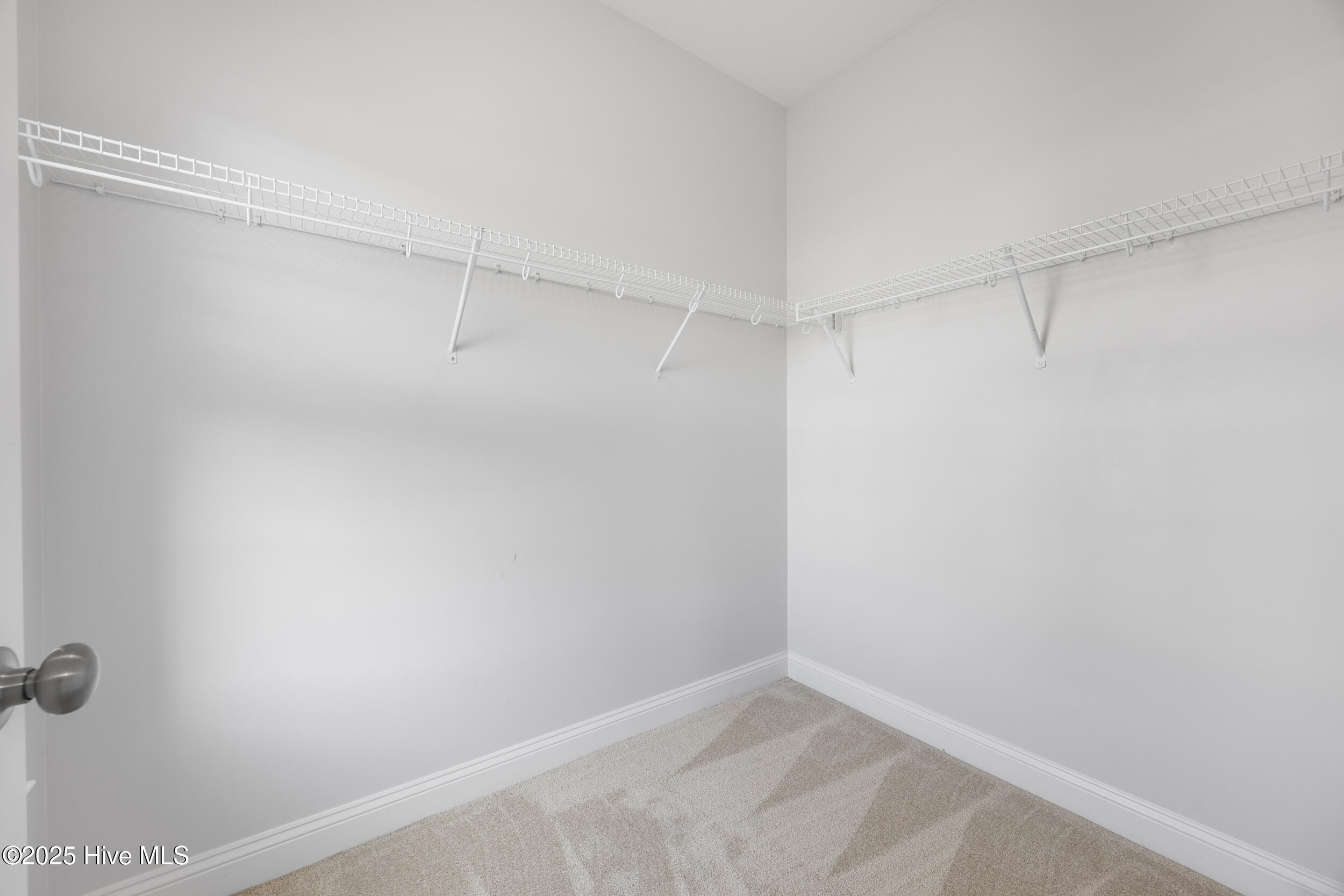 100542328 | Photo 34